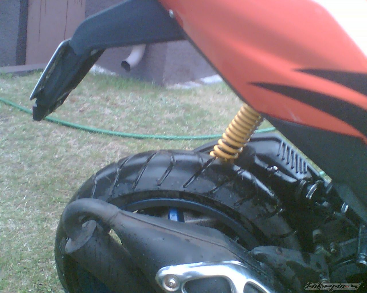 Photo 1250871