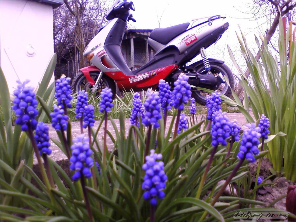 Photo 1250894