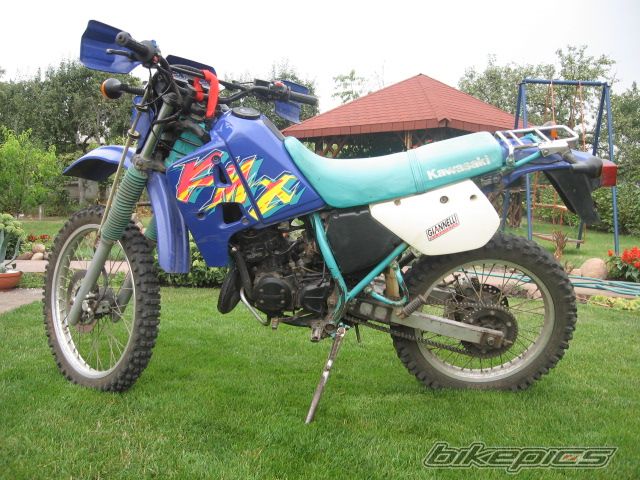Photo 1250933
