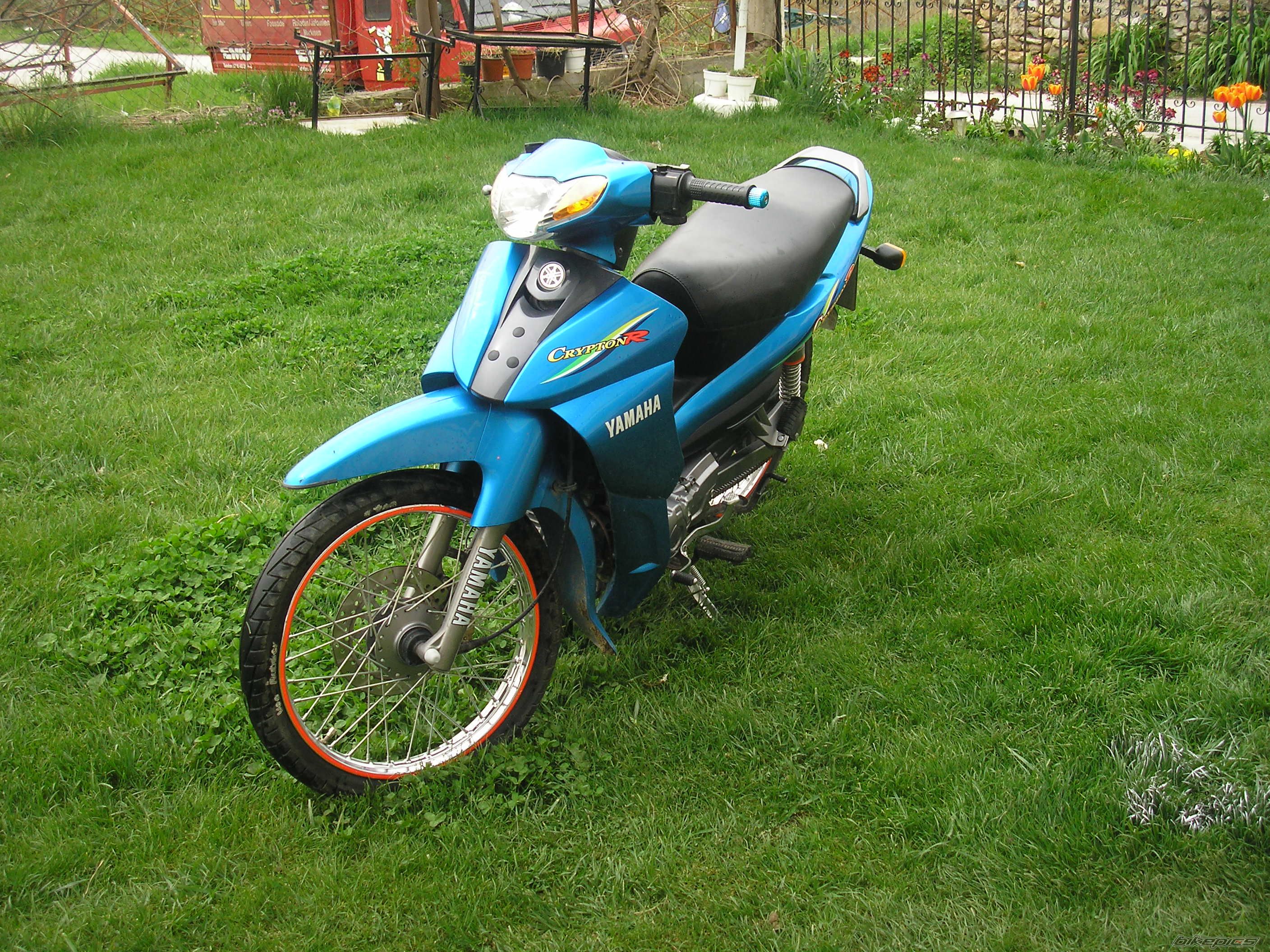 Photo 1250981