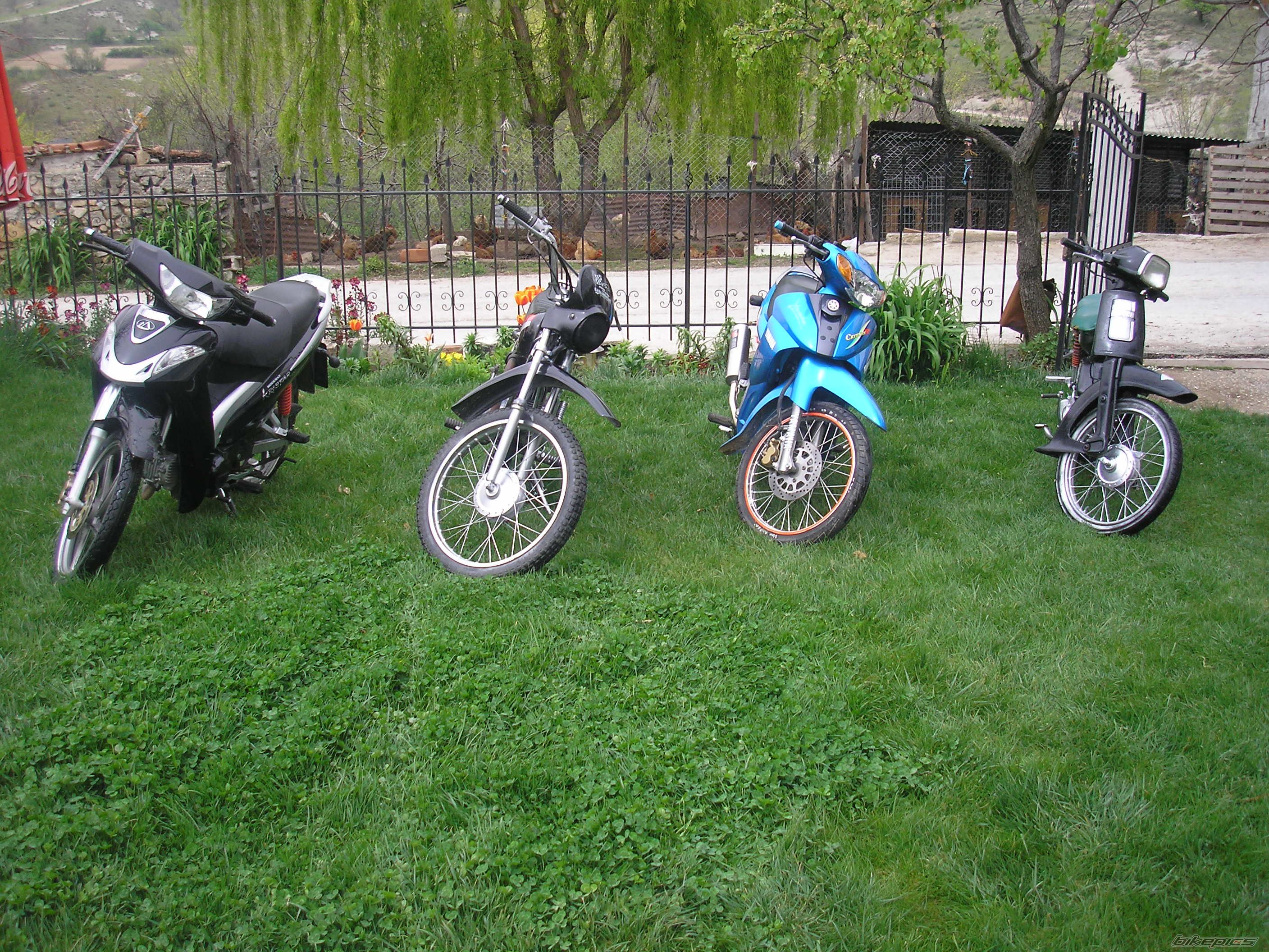 Photo 1251007