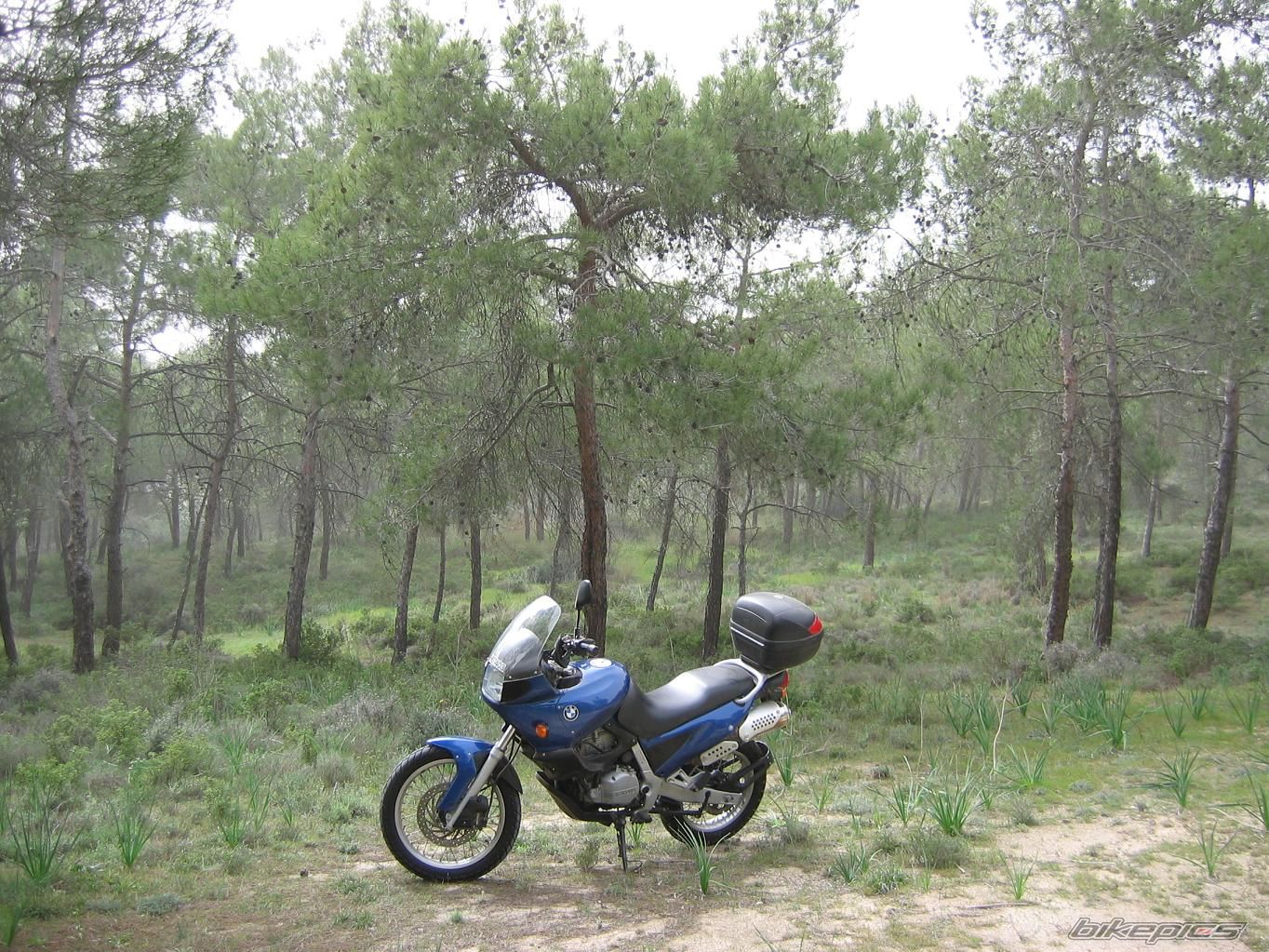 Photo 1251334