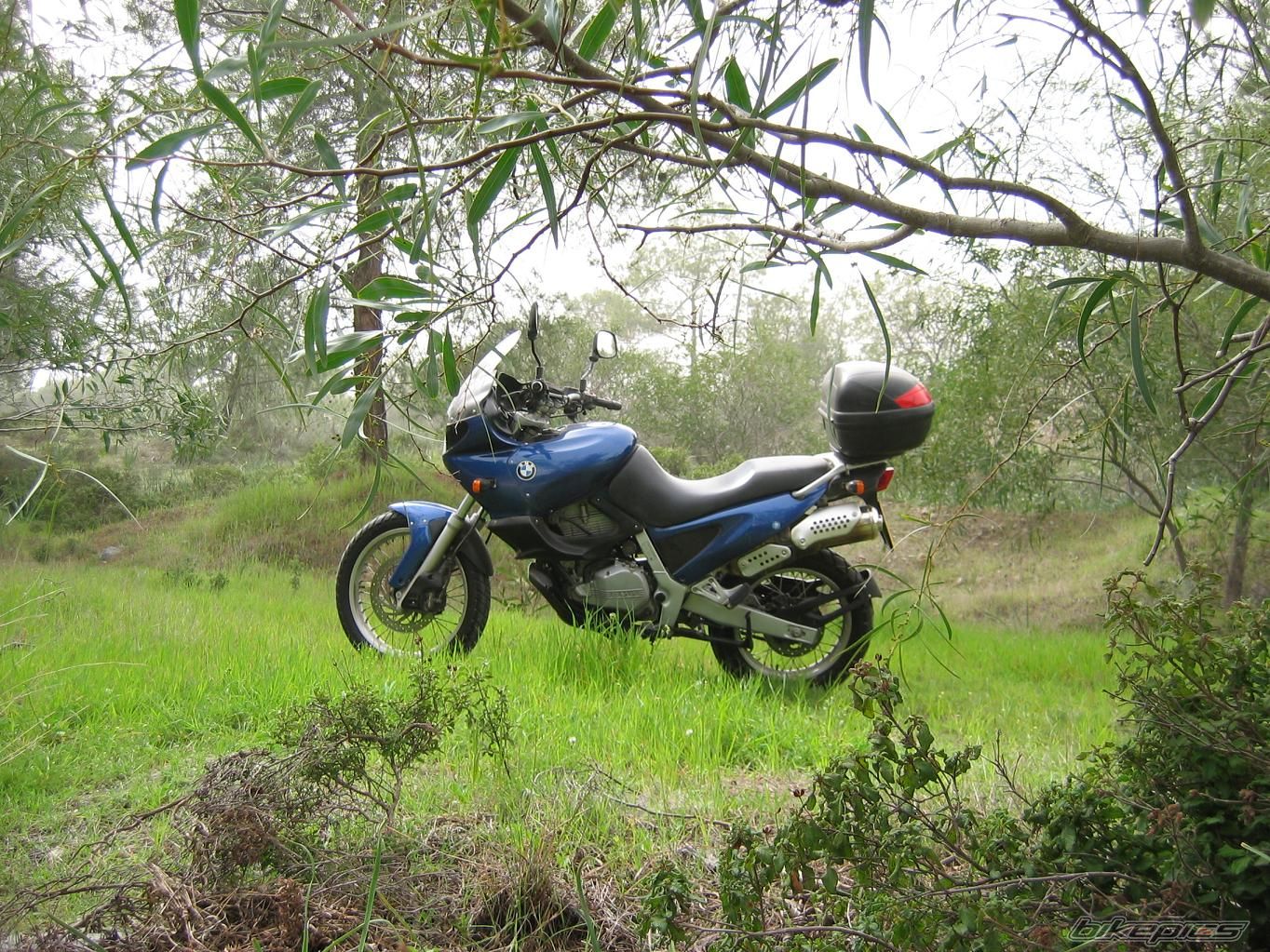 Photo 1251335