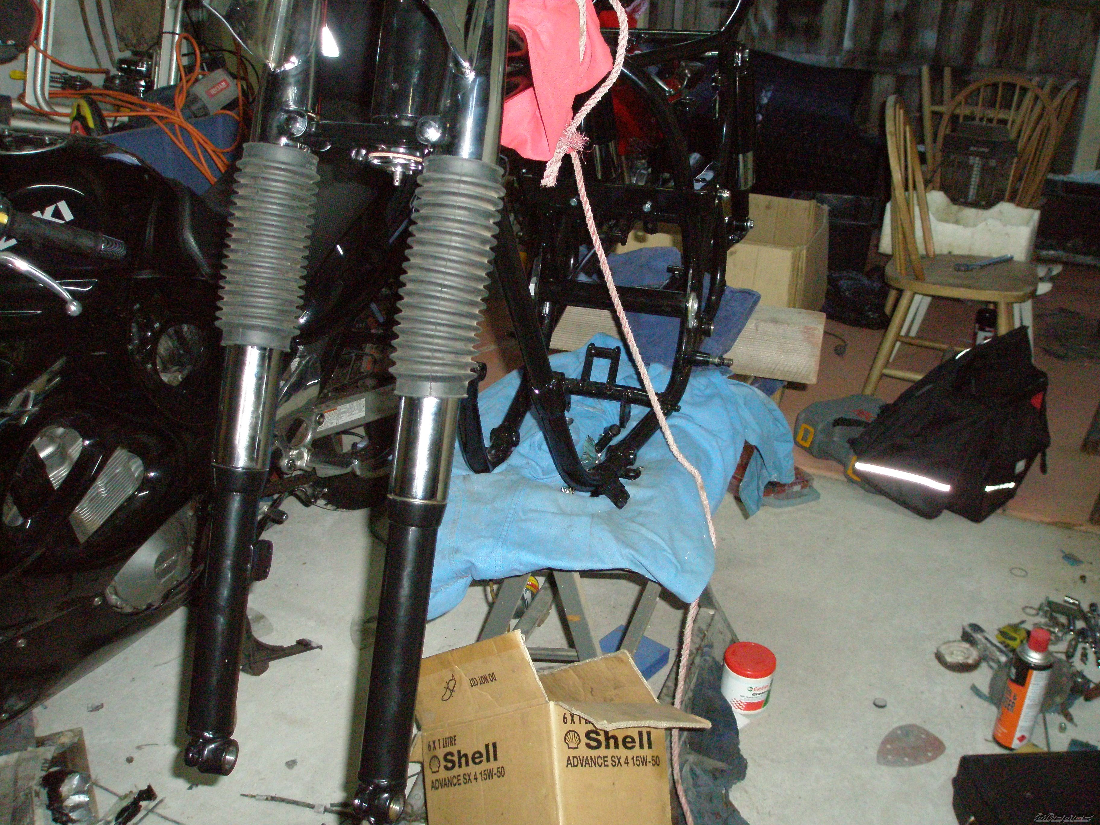 Photo 1251354