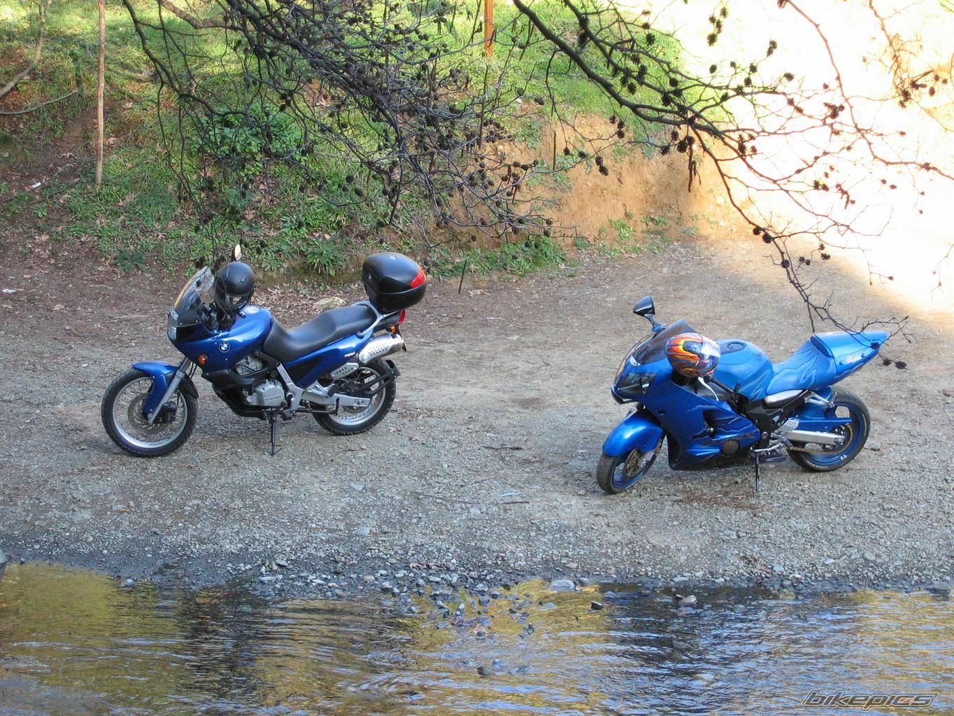 Photo 1251363