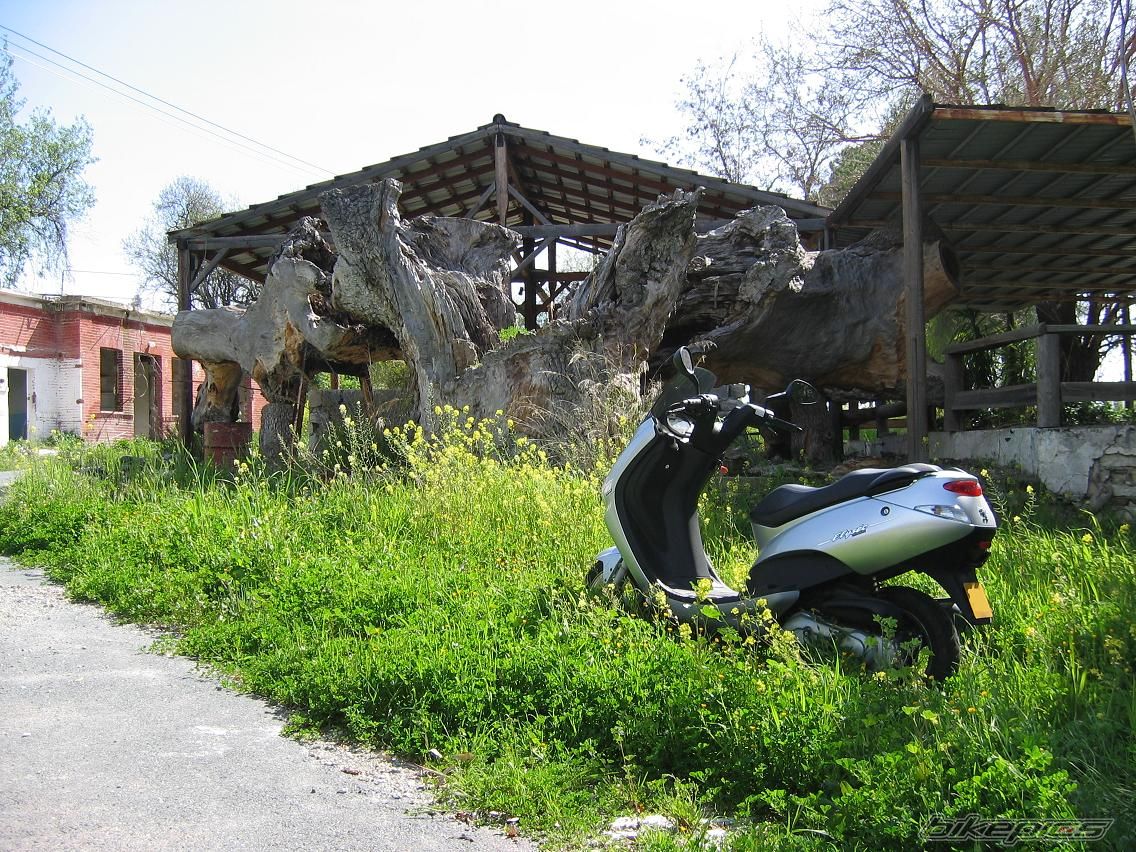 Bike Photo 1251396