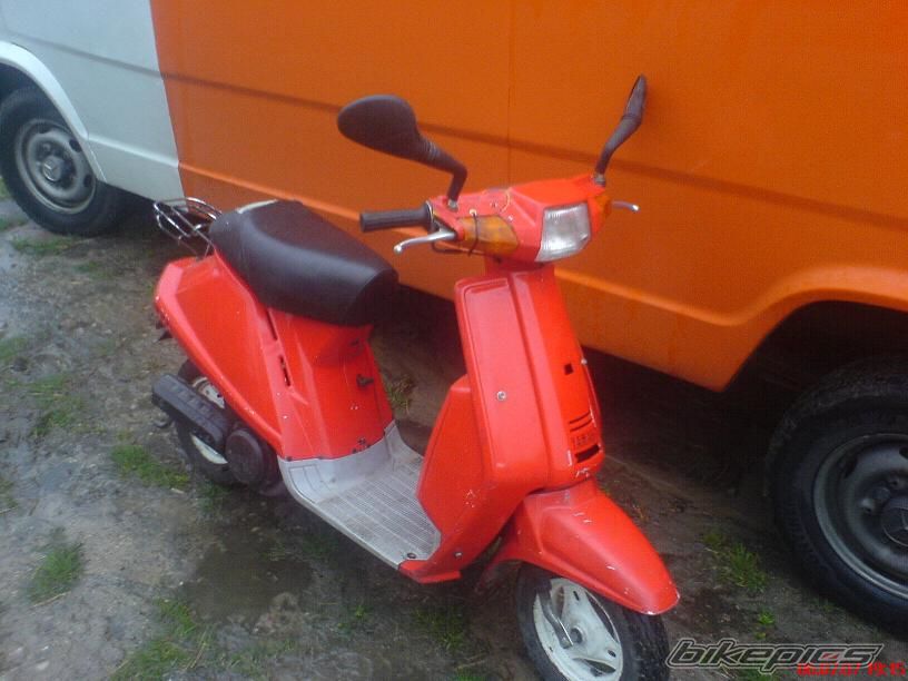 Photo 1251397