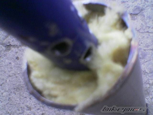Photo 1251418