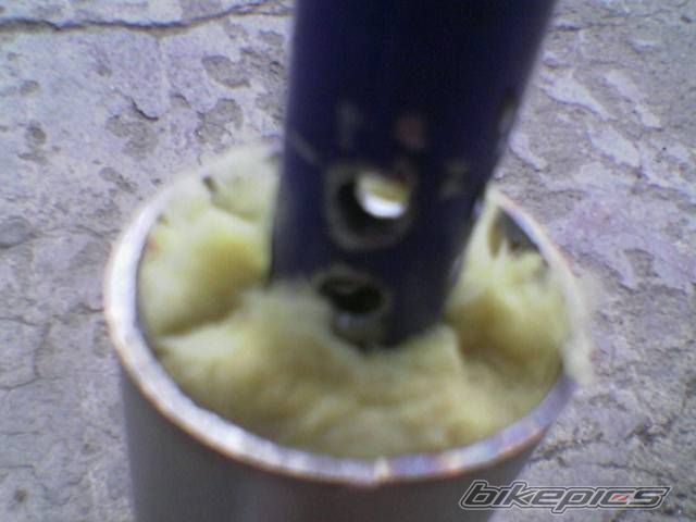 Photo 1251420