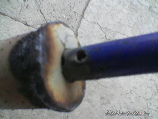 Photo 1251423