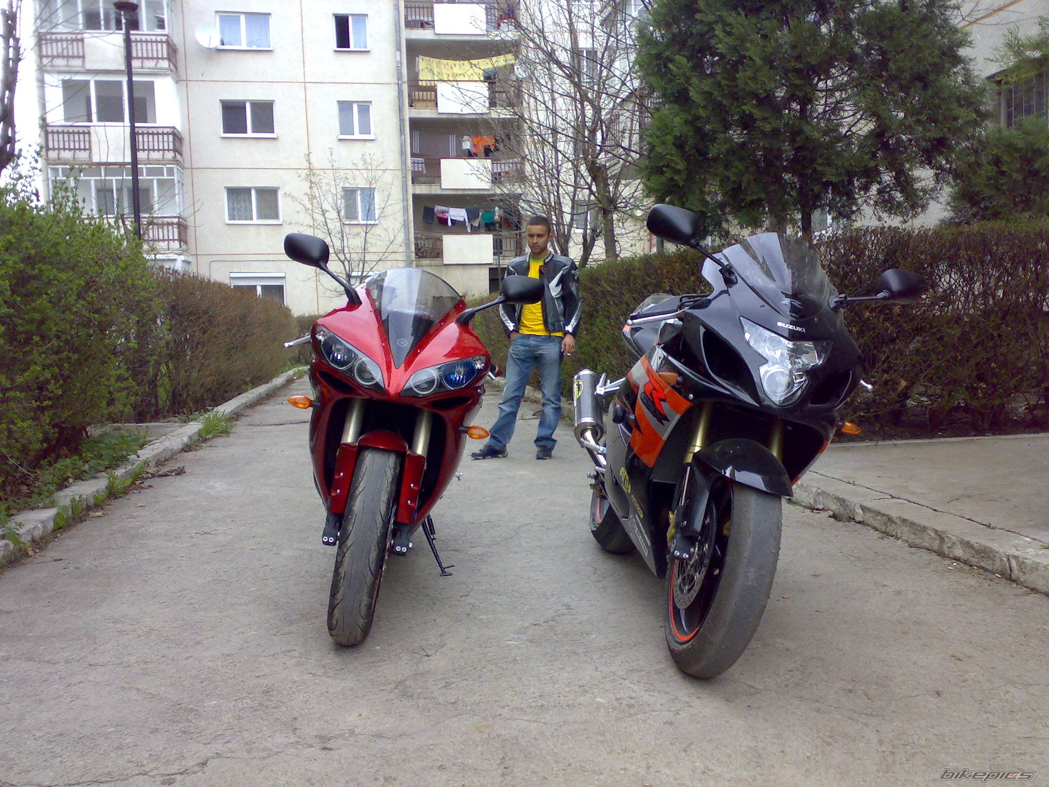 Photo 1251440