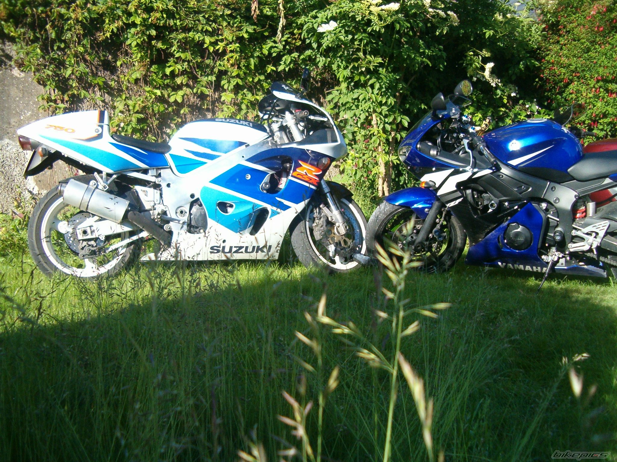 Bike Photo 1251449