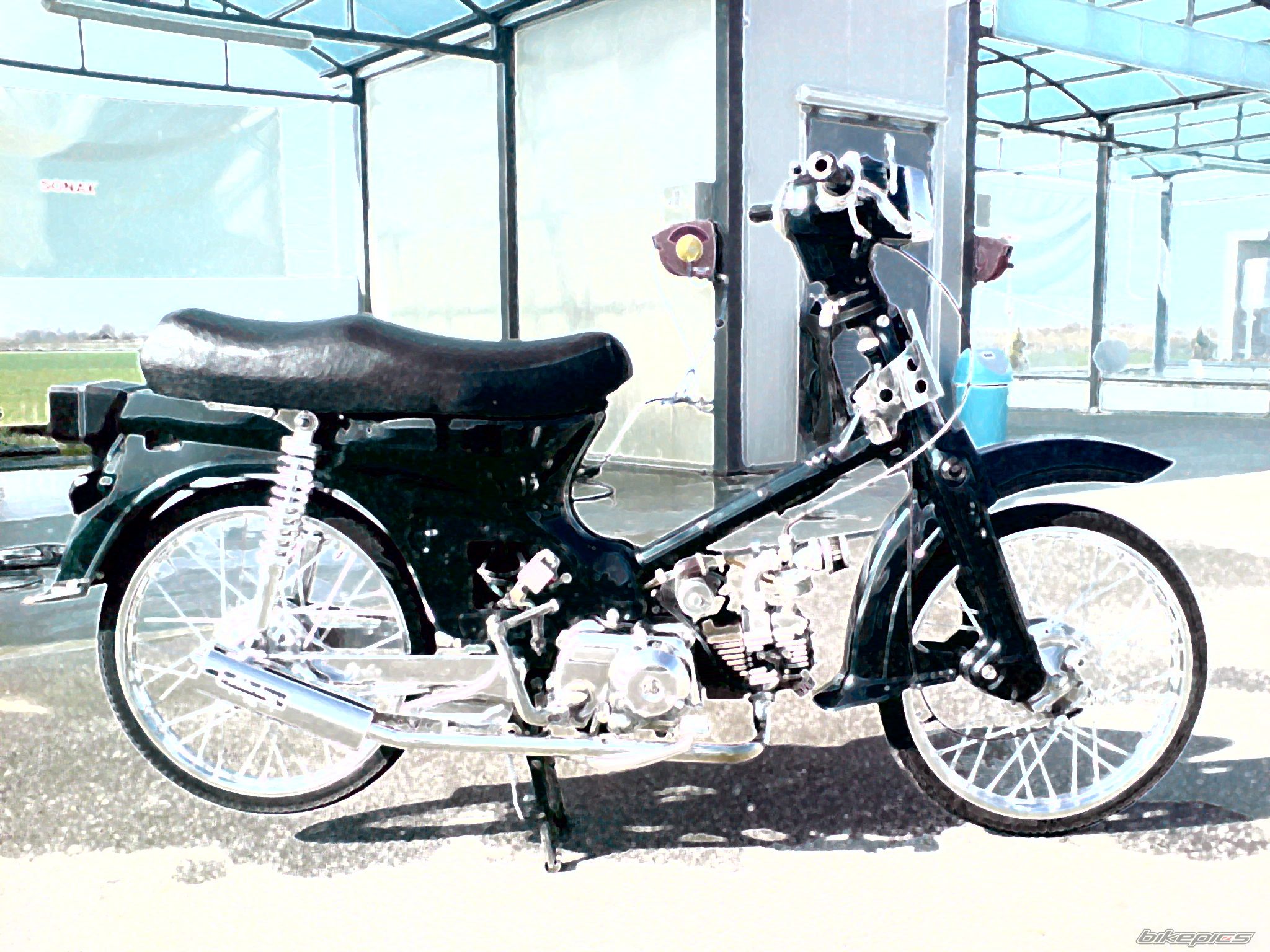 Photo 1251517