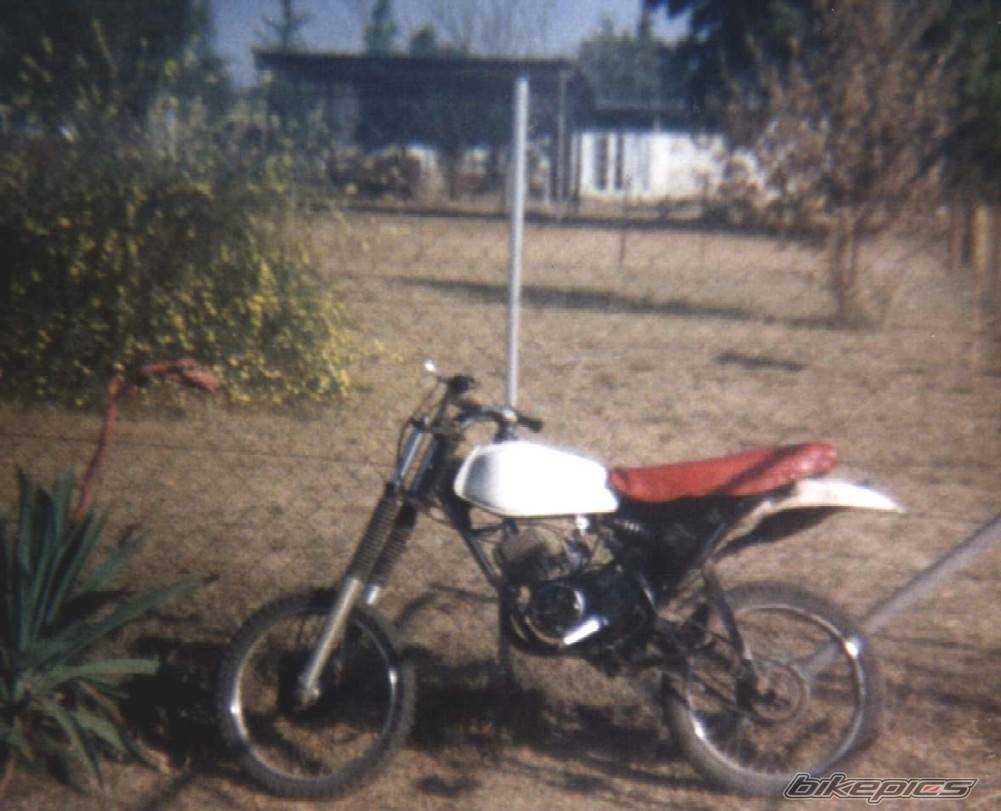 Photo 125152