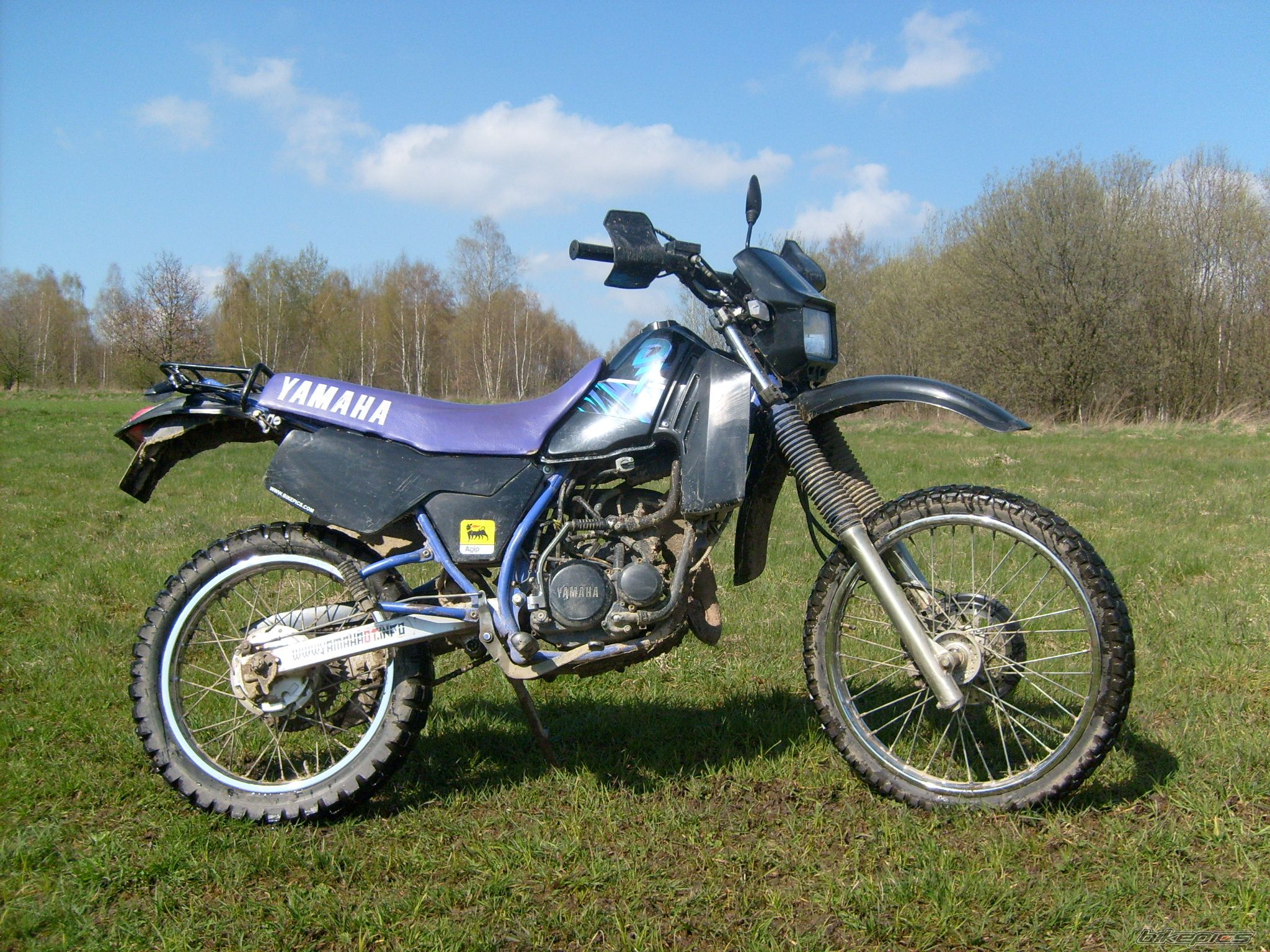 Photo 1251521