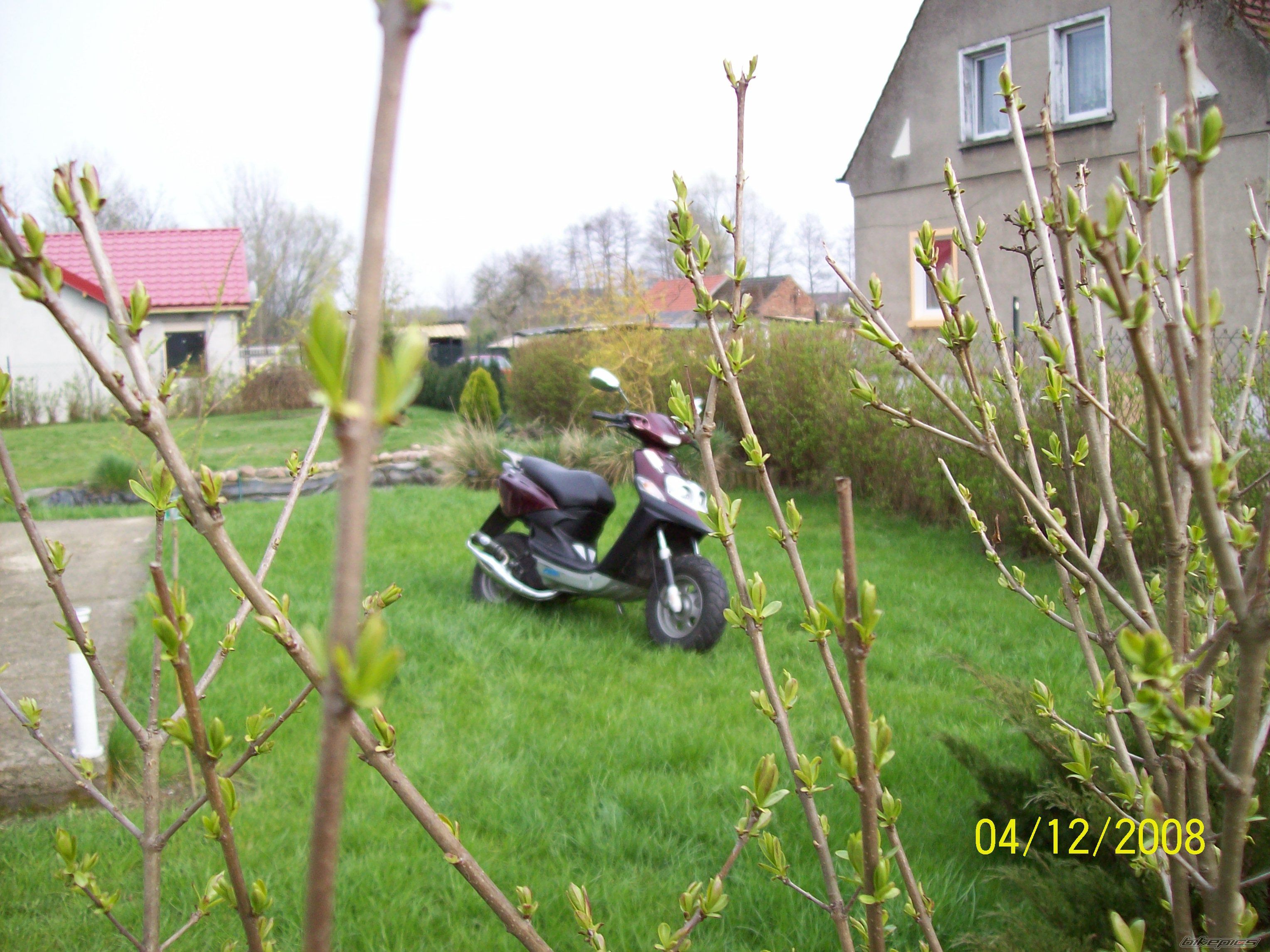 Photo 1251529