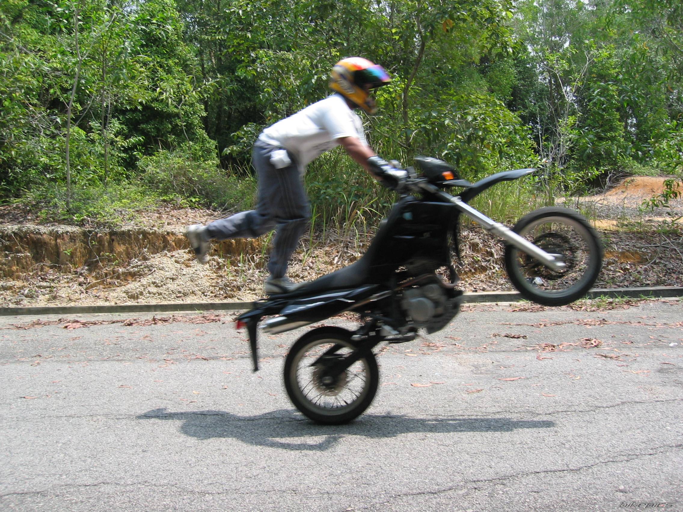 Photo 125154