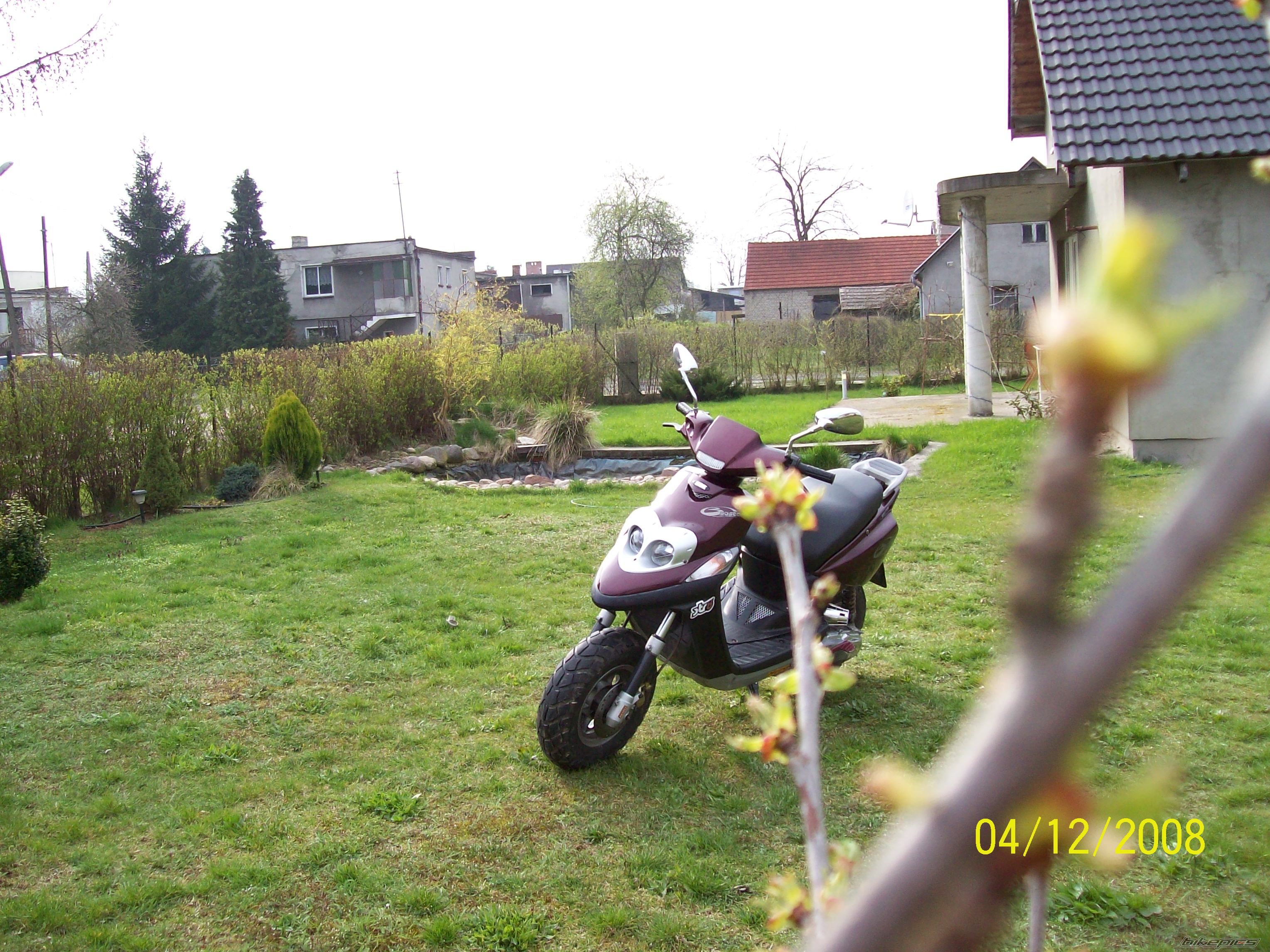 Photo 1251561