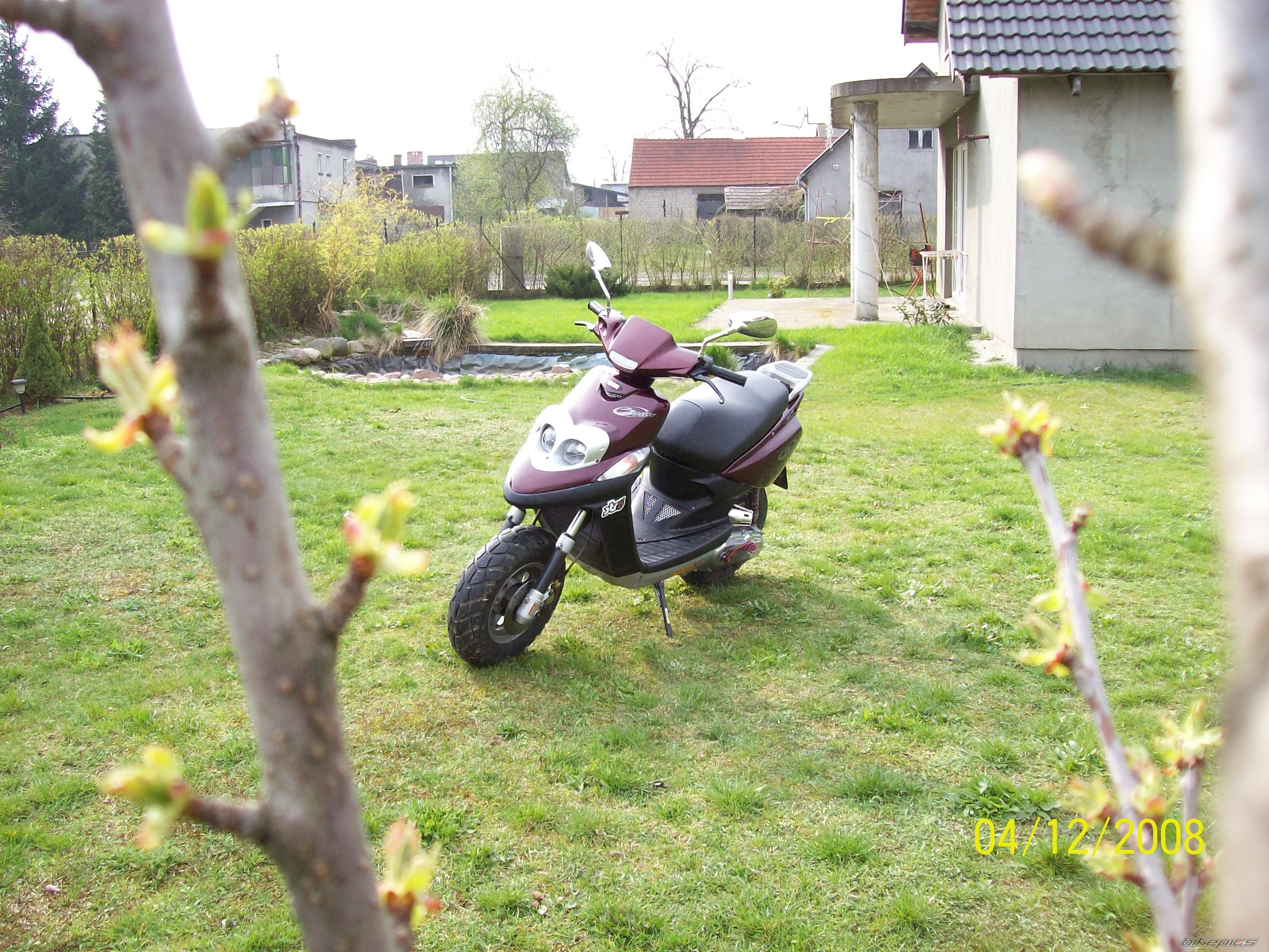 Photo 1251566