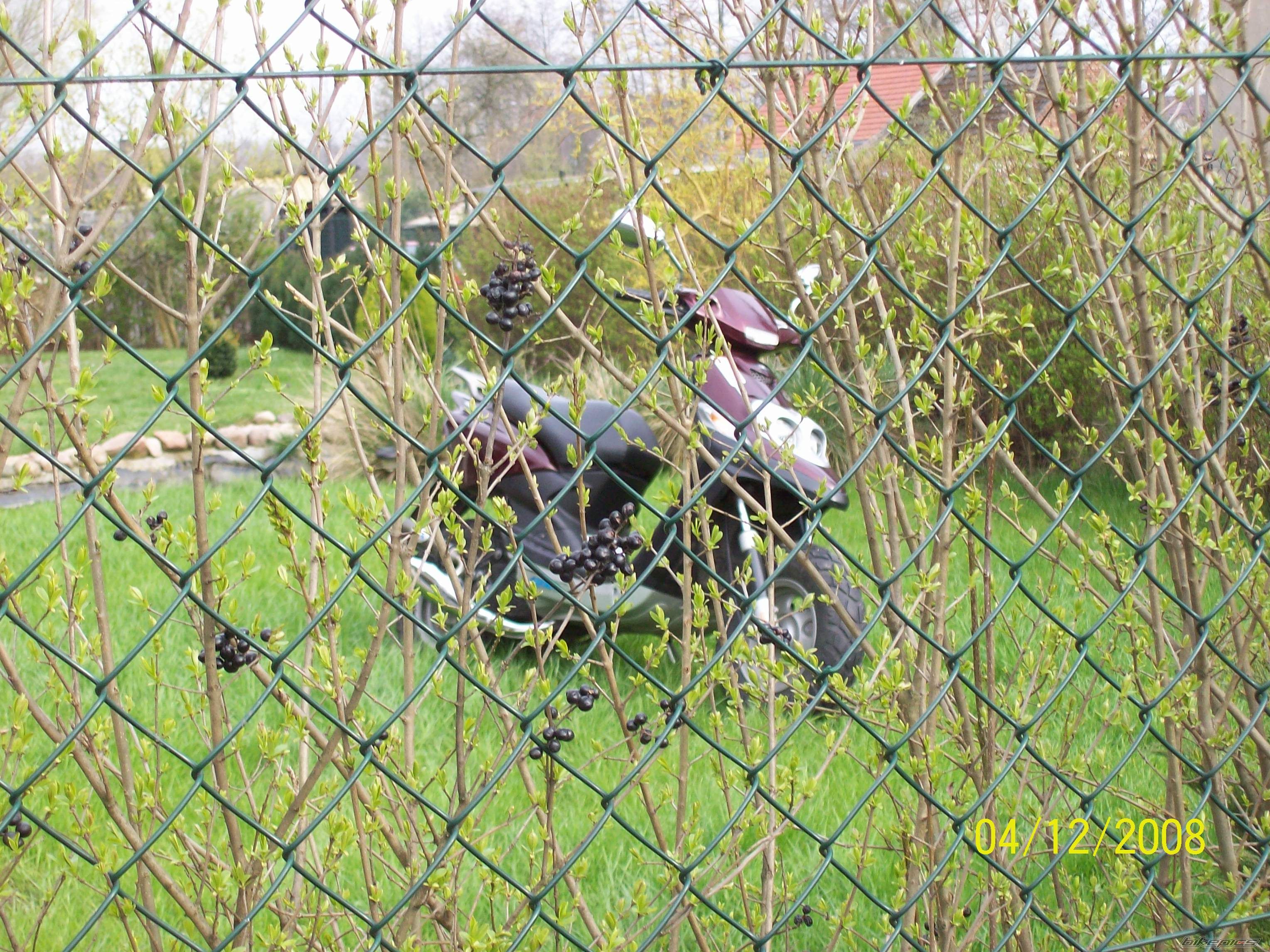 Photo 1251574