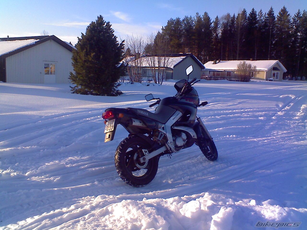 Photo 1251636