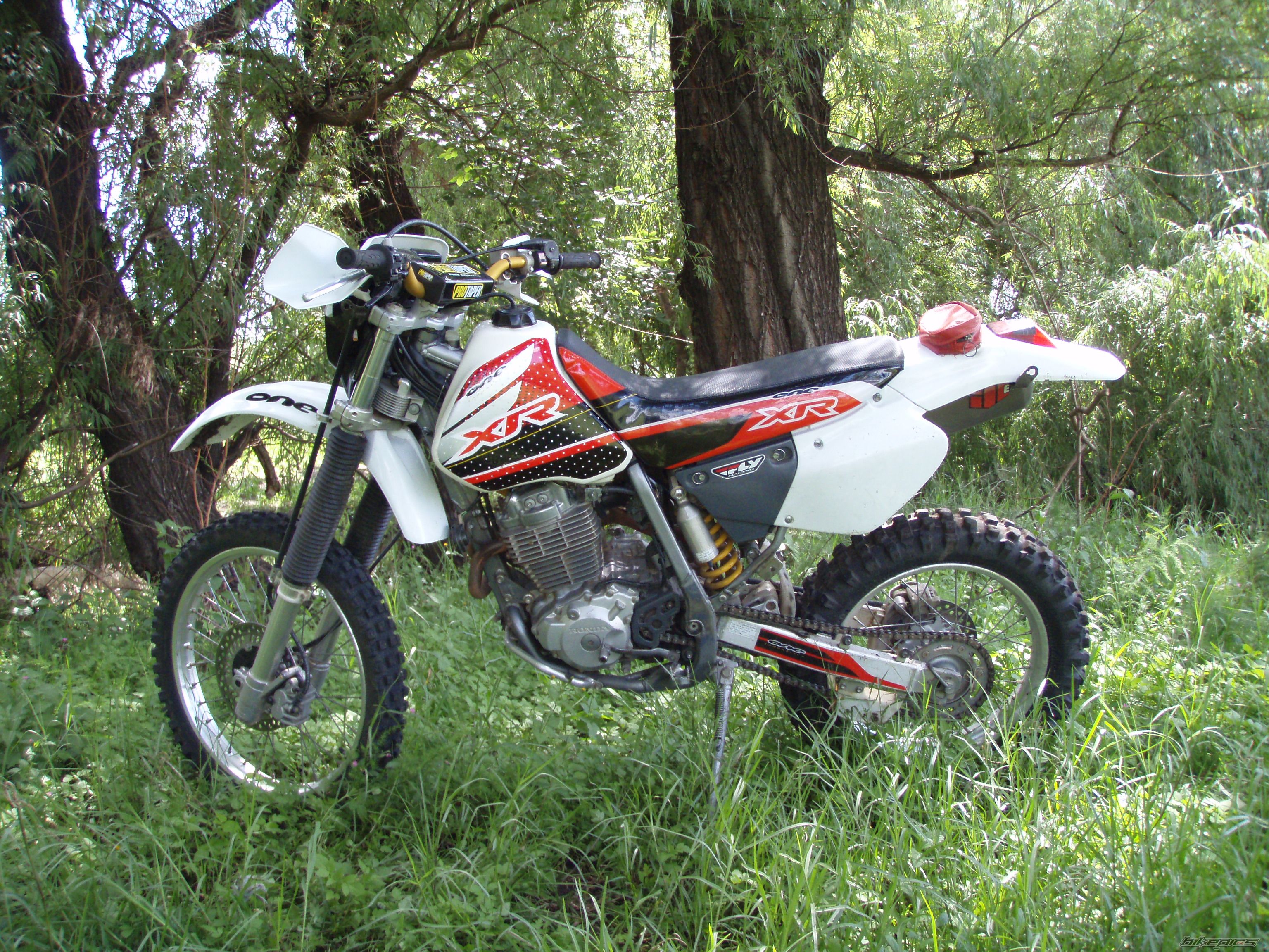 Photo 1251715