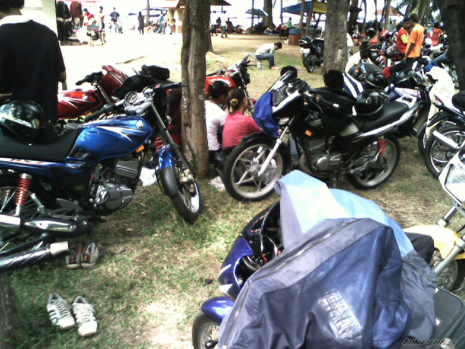 Bike Photo 1251830