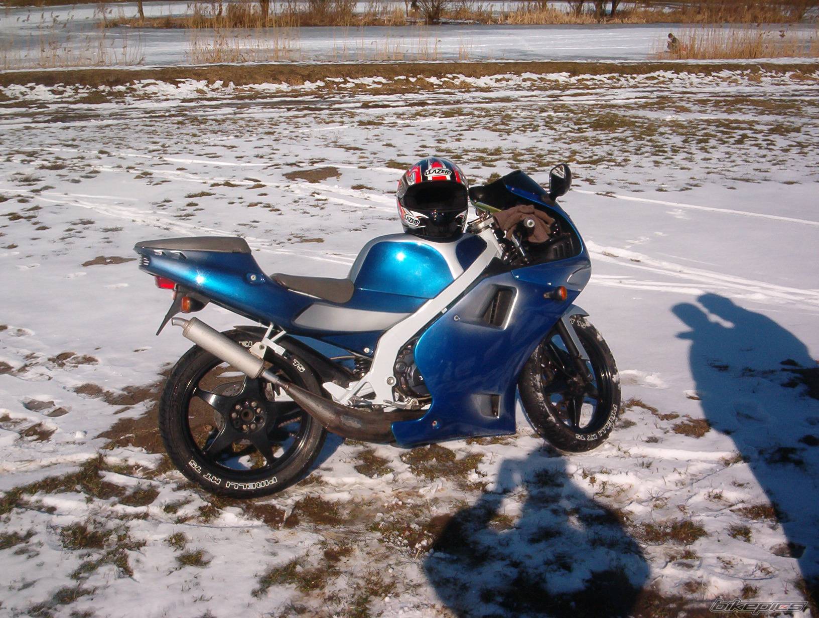 Photo 125187