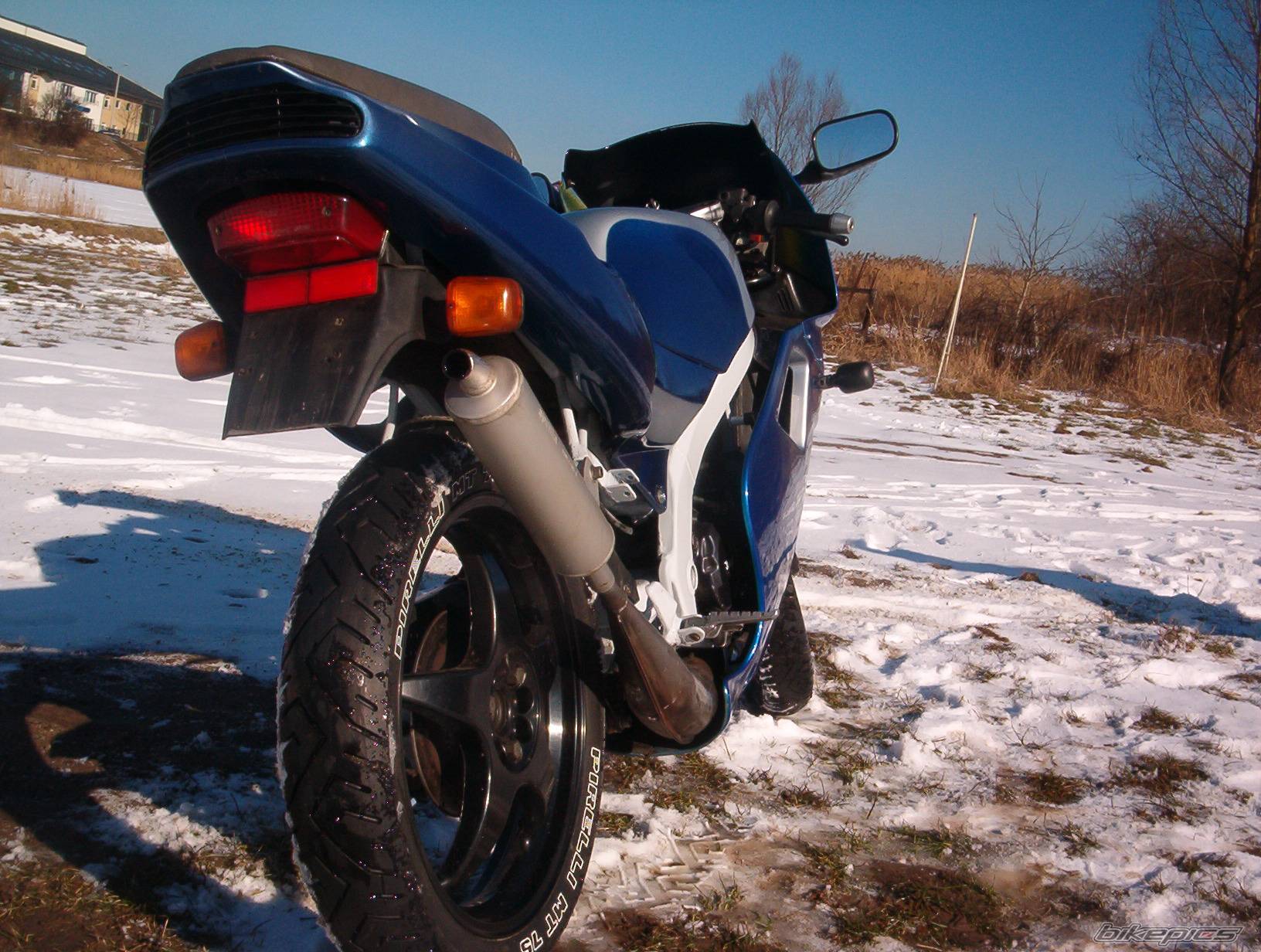 Photo 125189