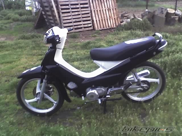 Photo 1251899