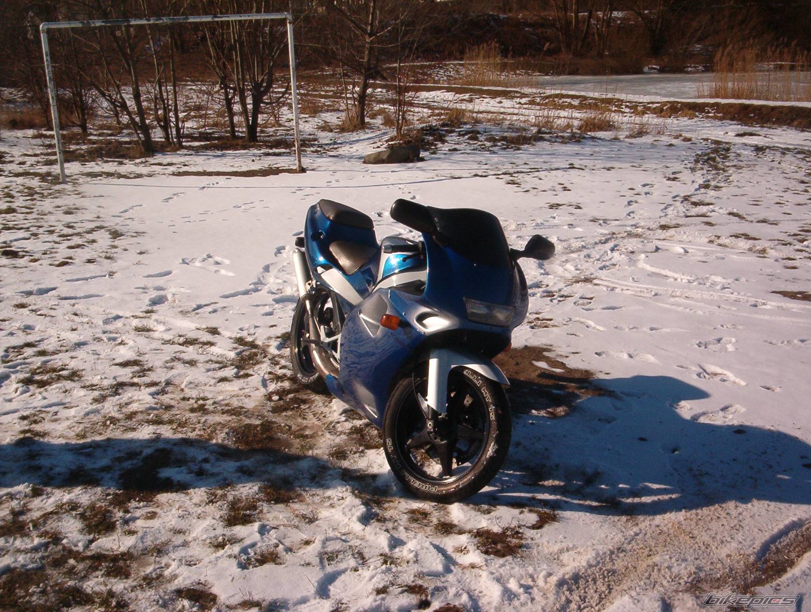 Photo 125190