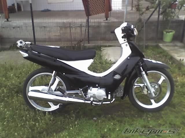 Photo 1251903