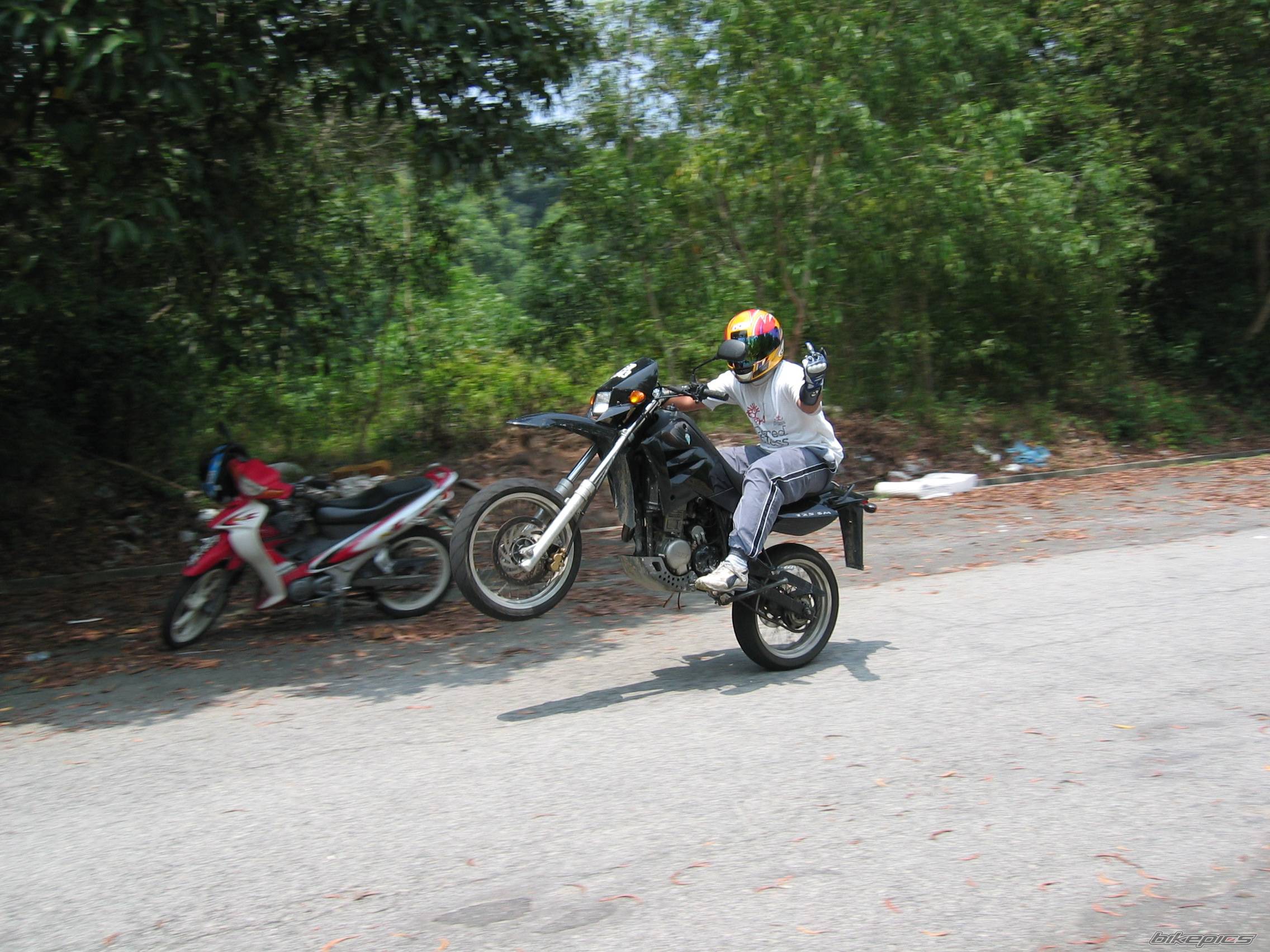 Photo 125194