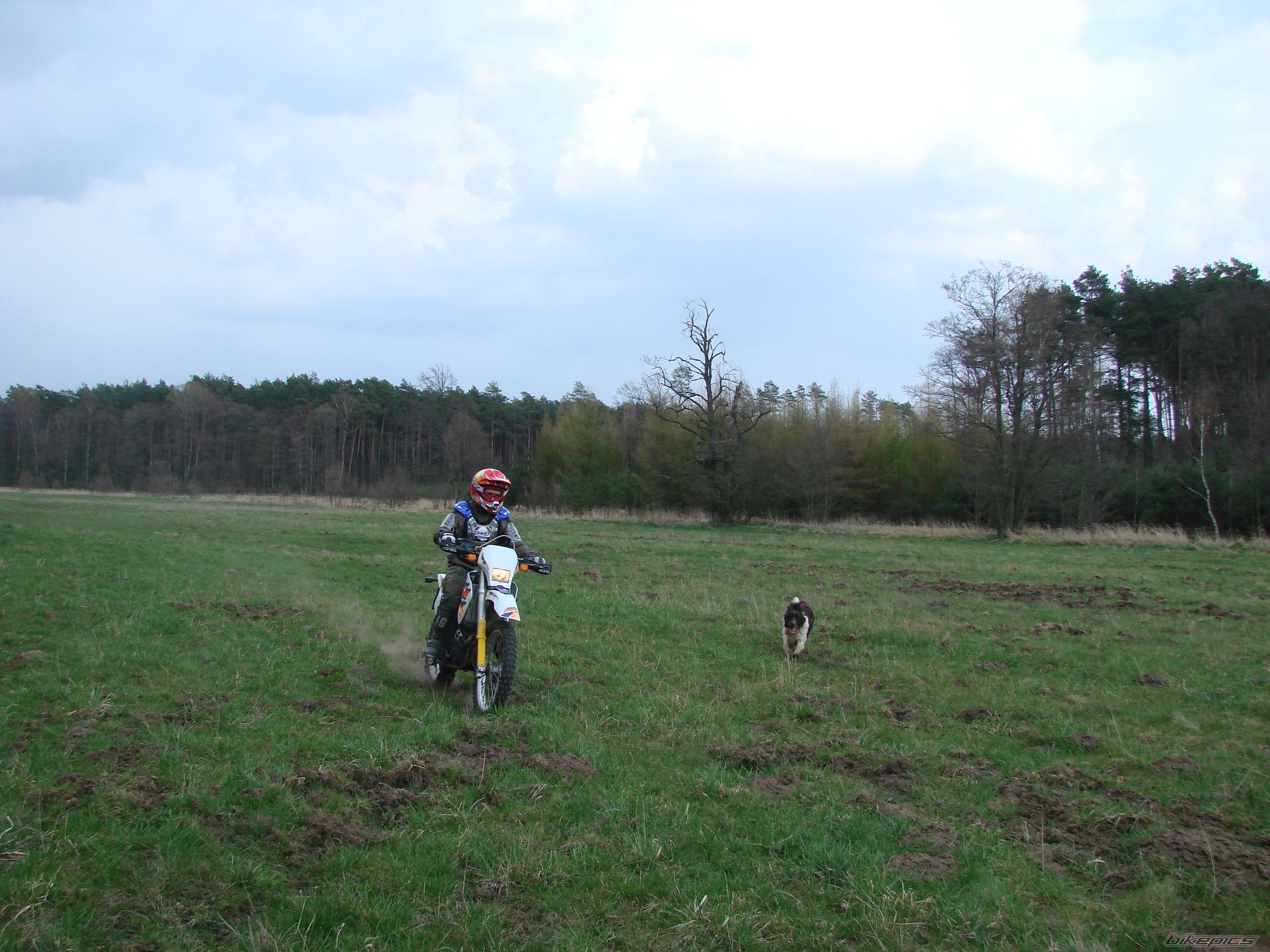 Photo 1251979