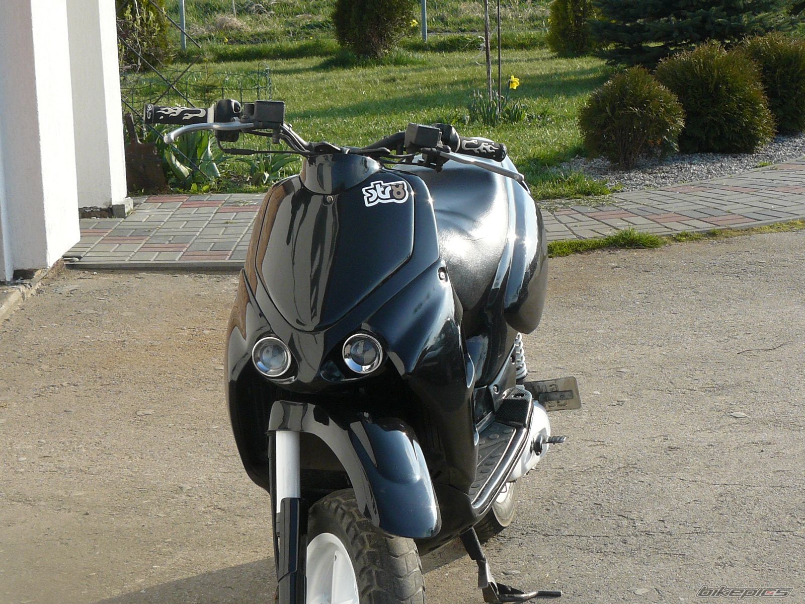 Photo 1252004