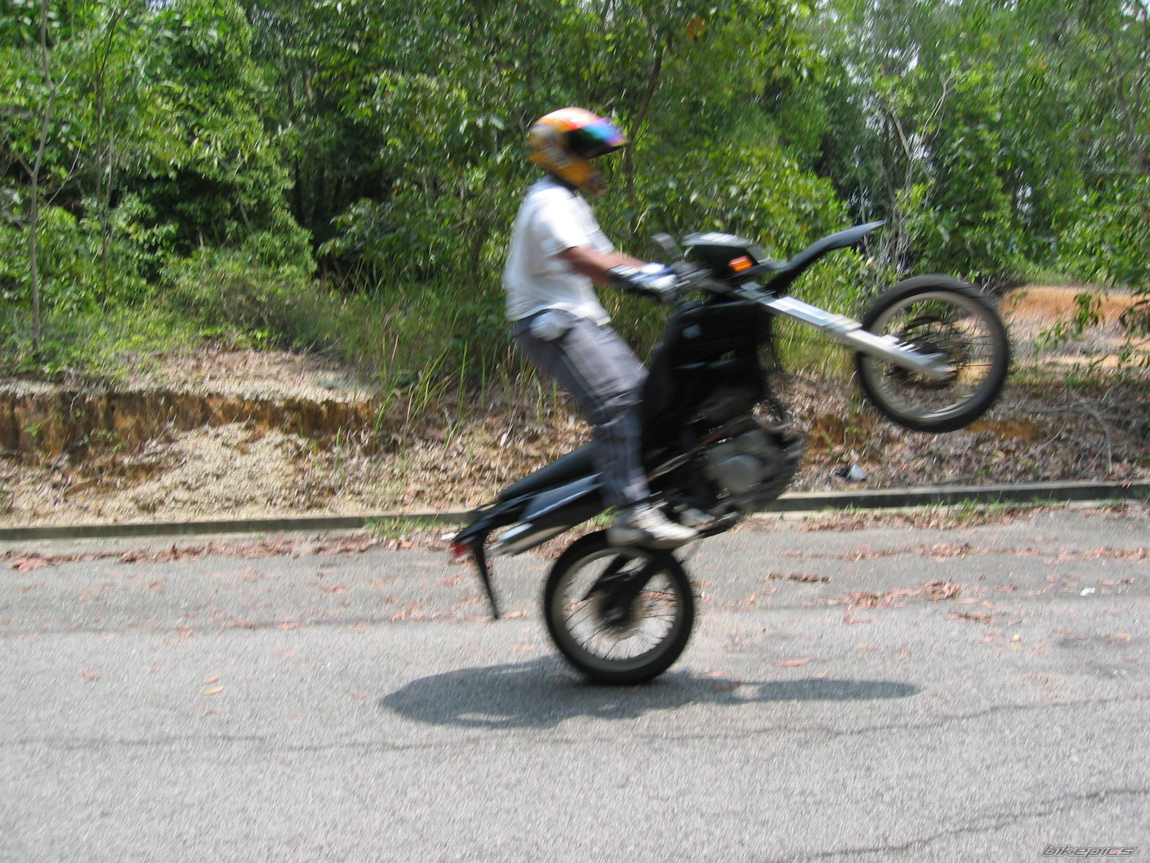 Photo 125202