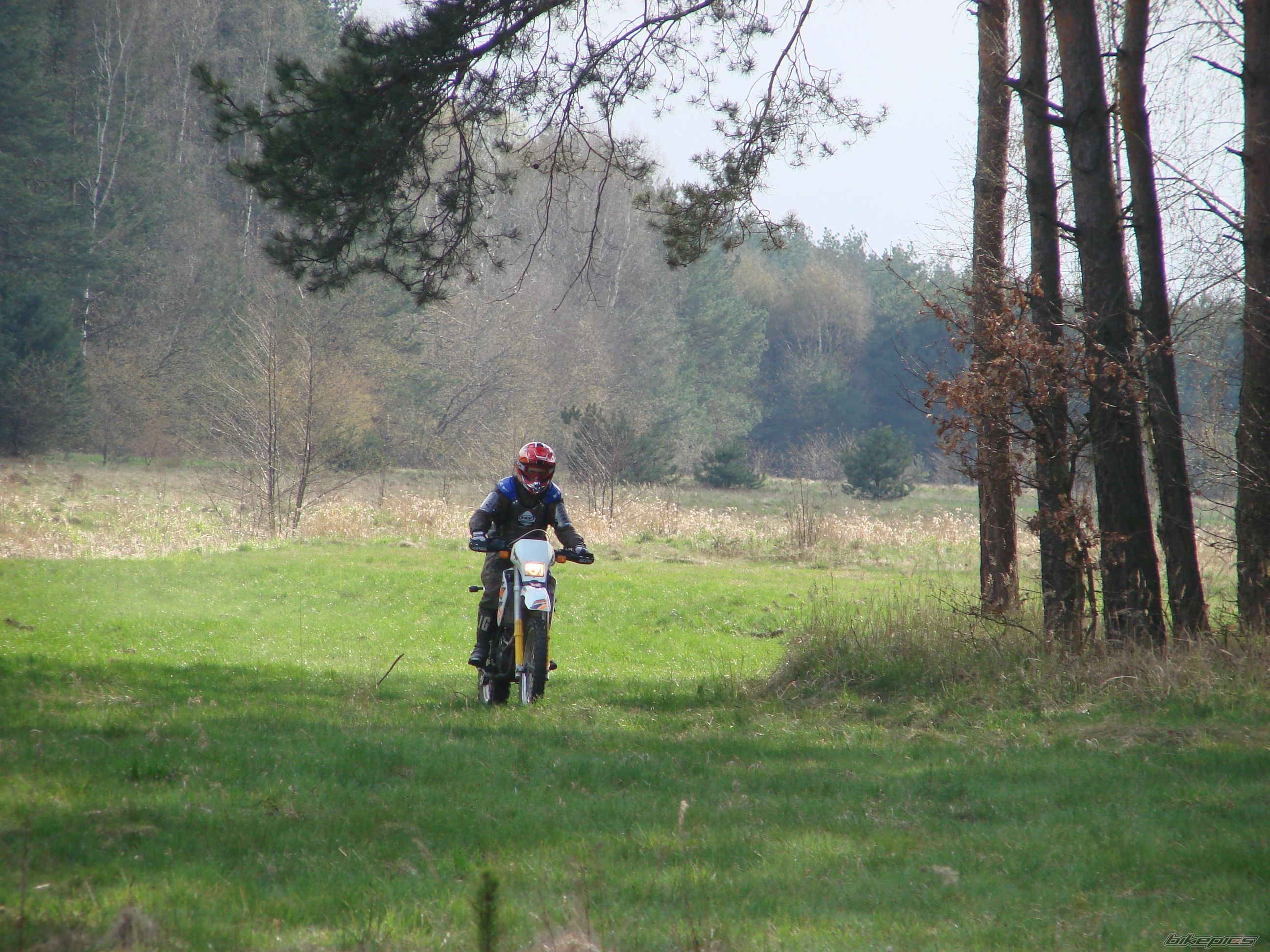 Photo 1252035