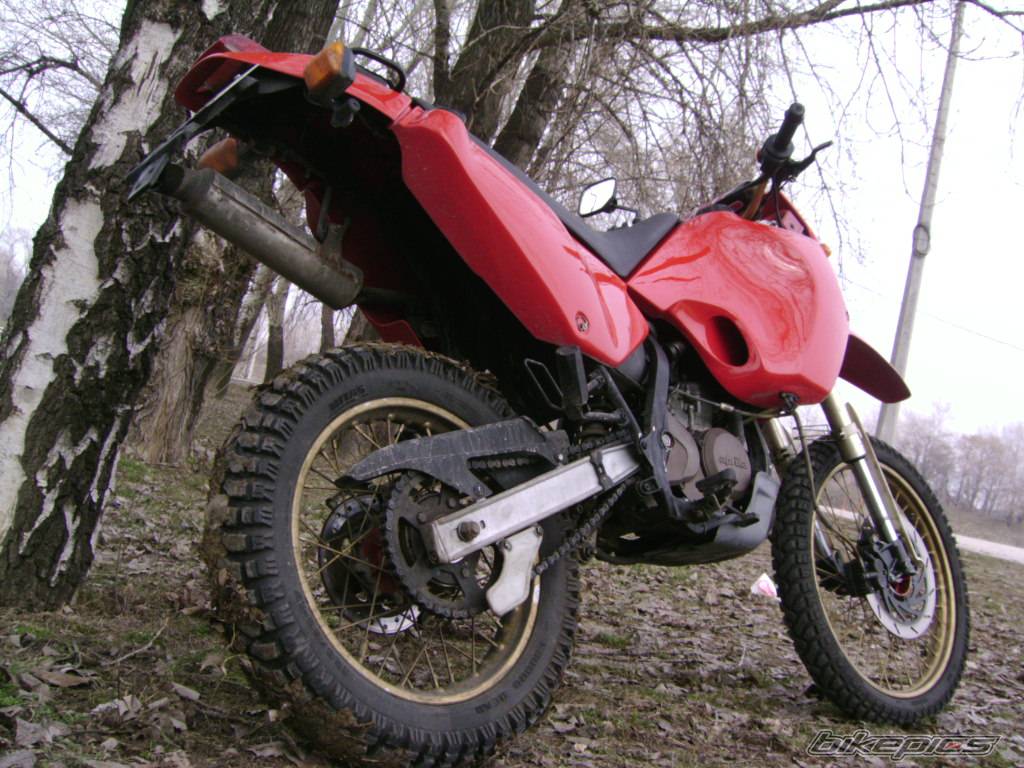 Photo 125205