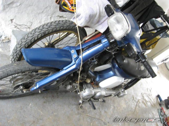 Photo 1252050