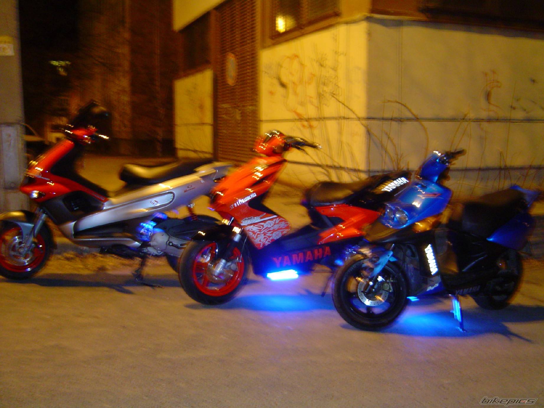 Photo 125212