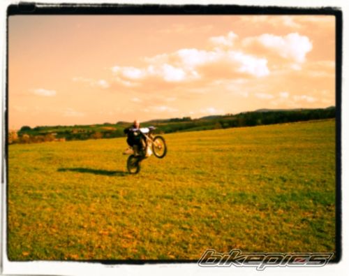 Photo 1252252