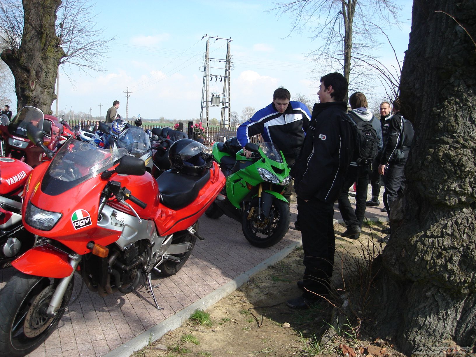 Photo 1252409