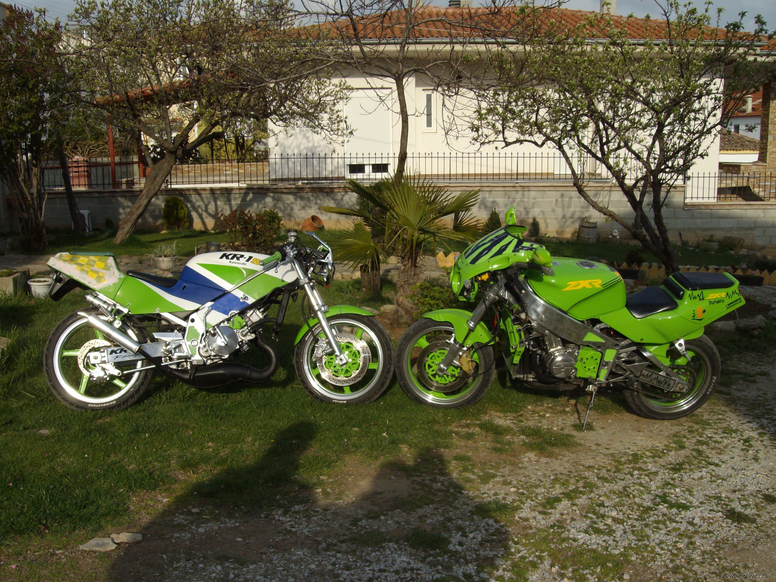 Photo 1252440