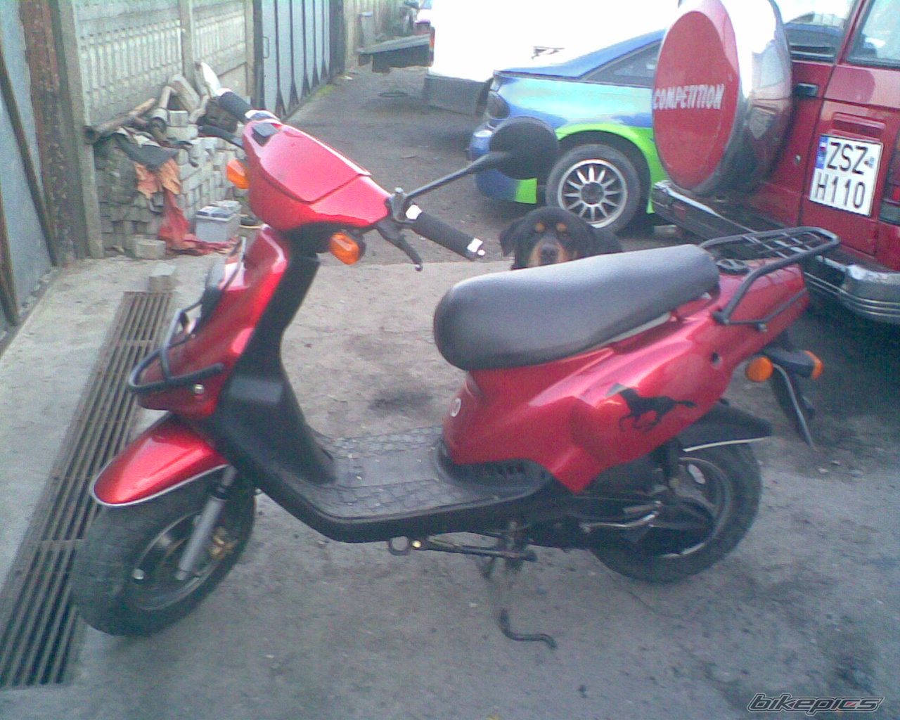 Photo 1252471