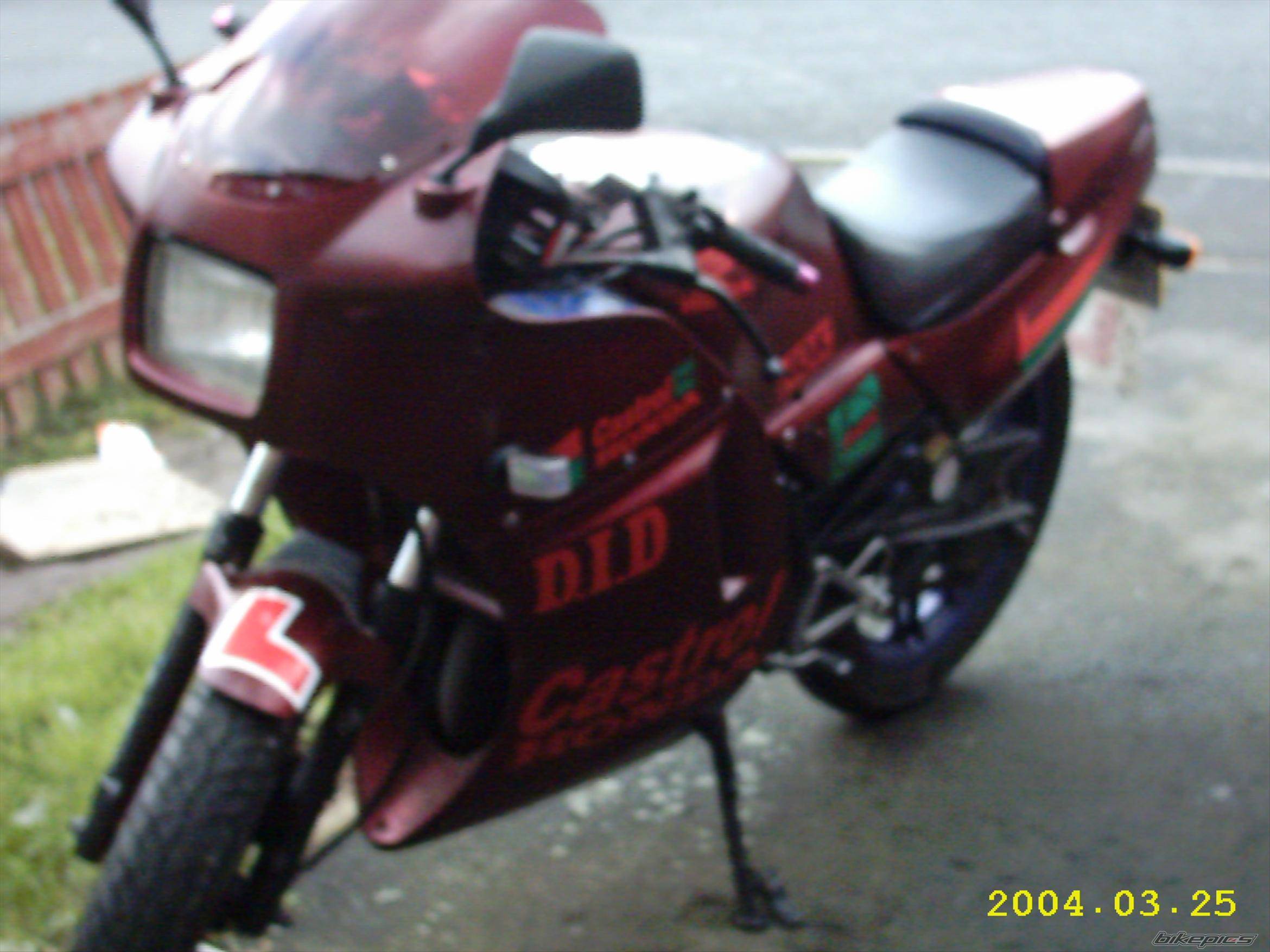 Photo 125248