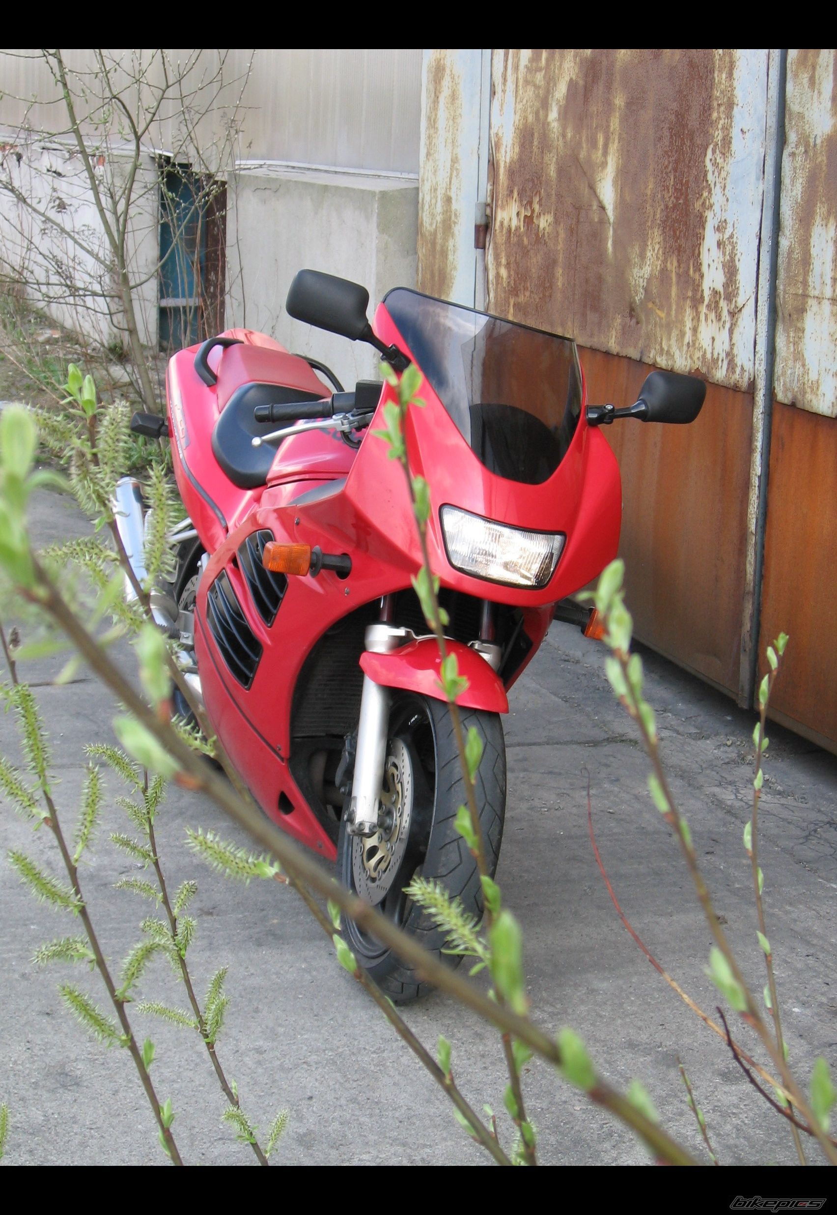 Photo 1252493