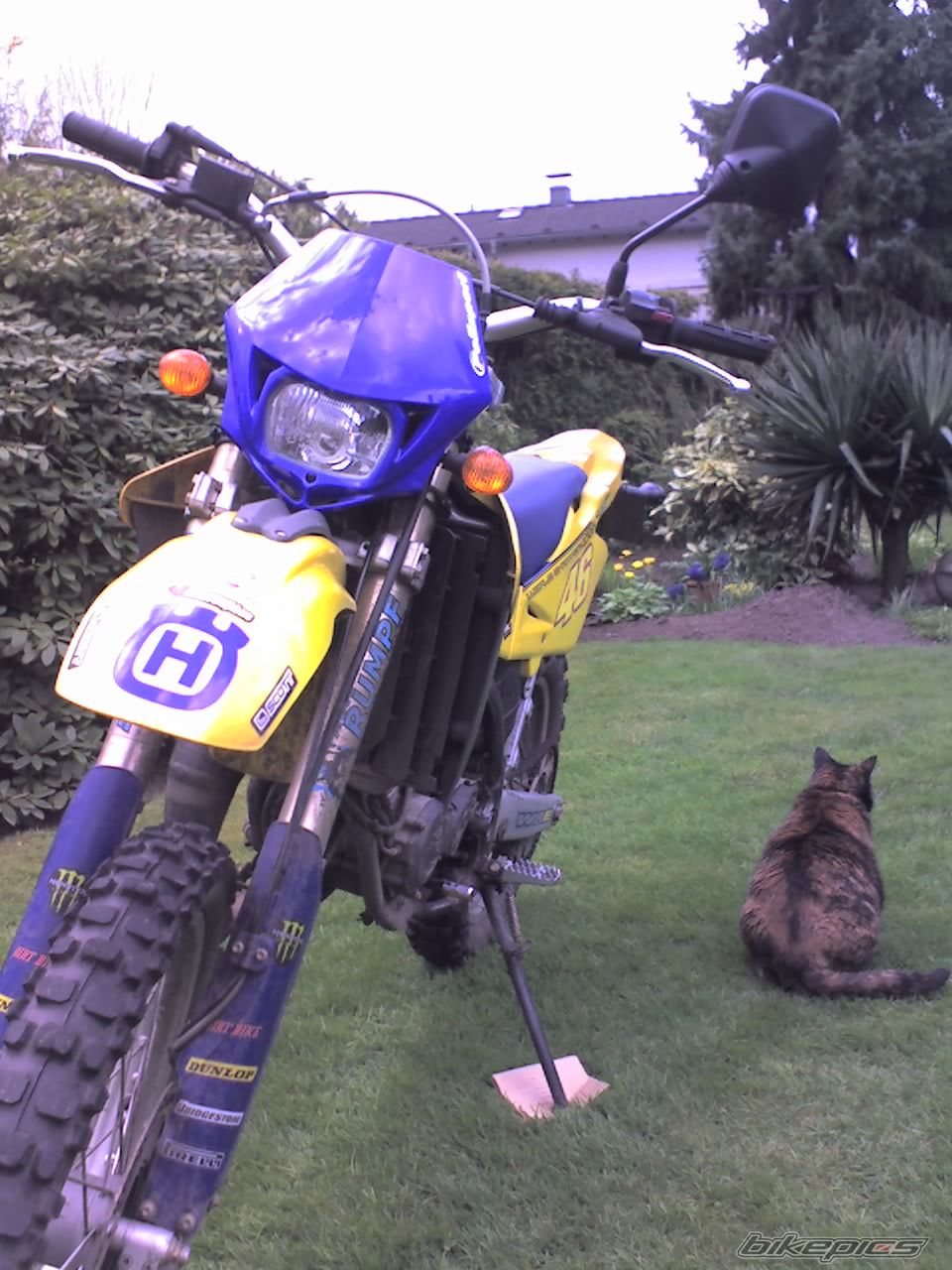 Bike Photo 1252522