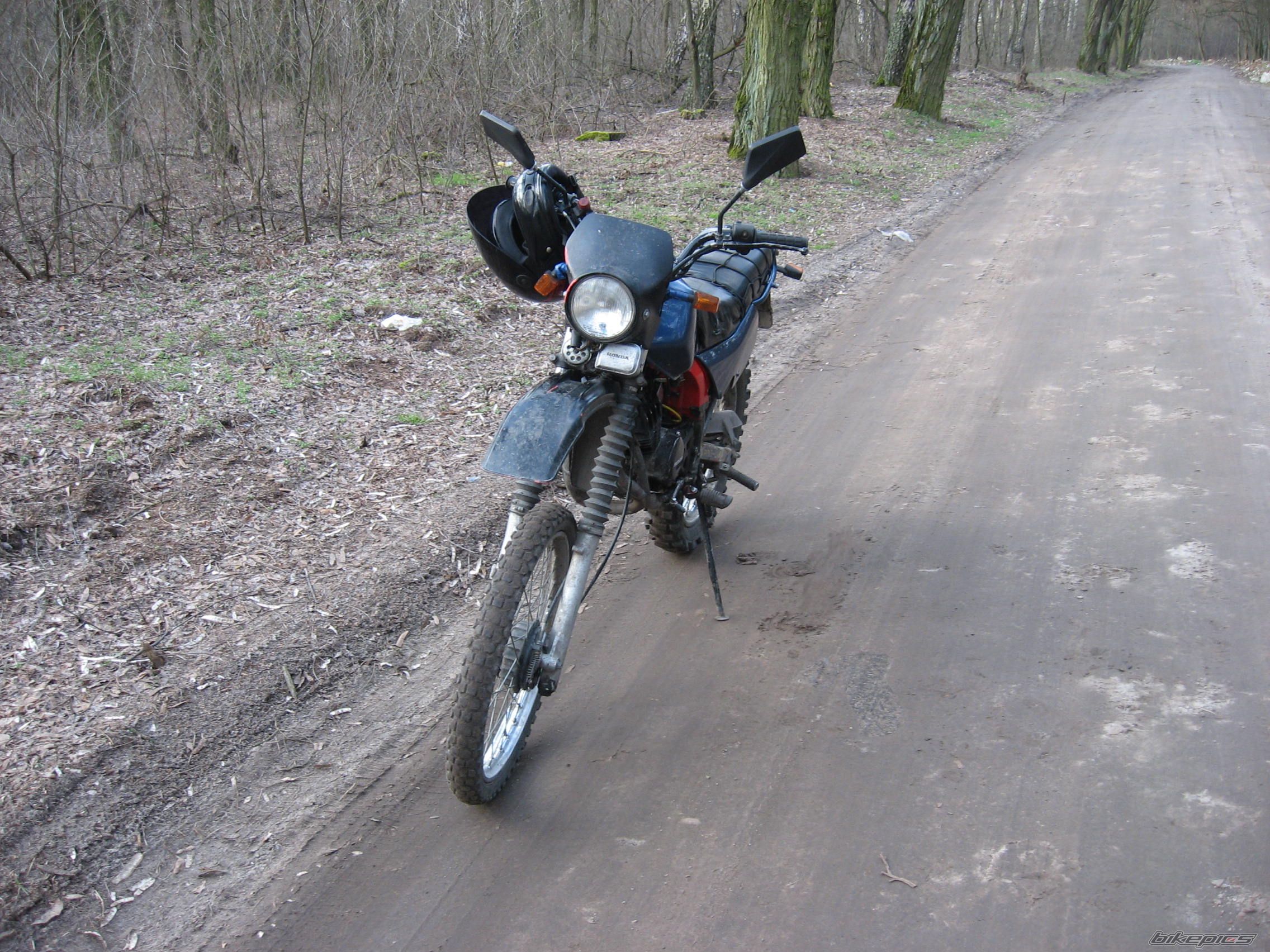 Photo 1252548