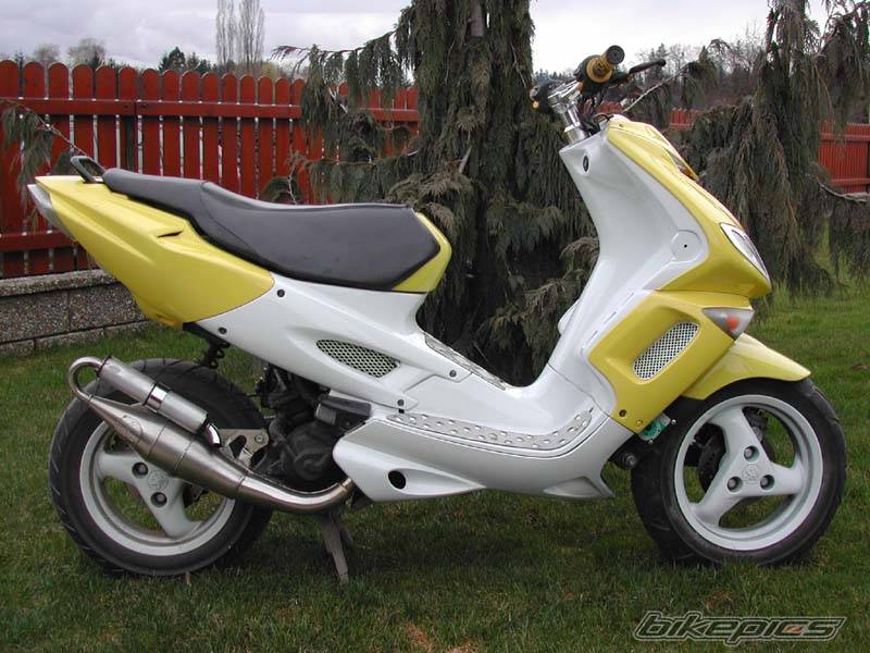 Photo 125258