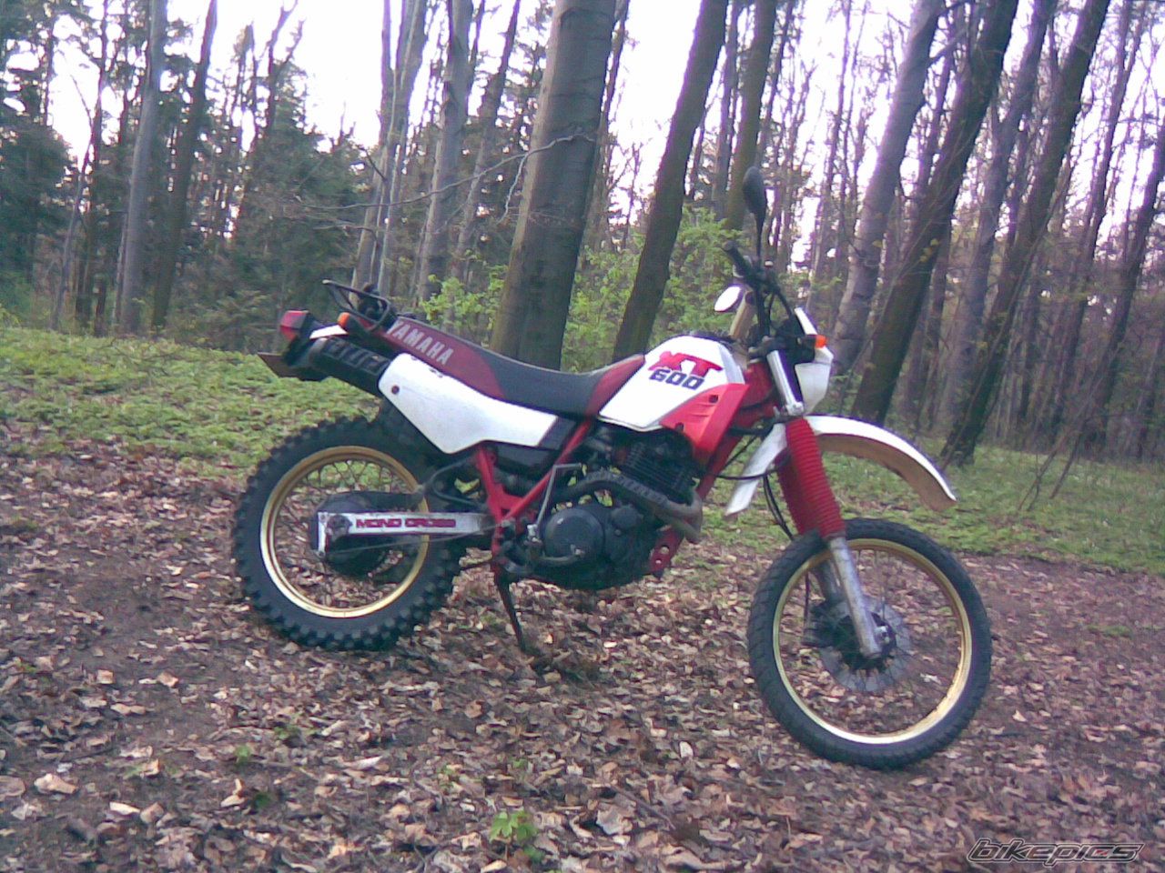 Photo 1252584